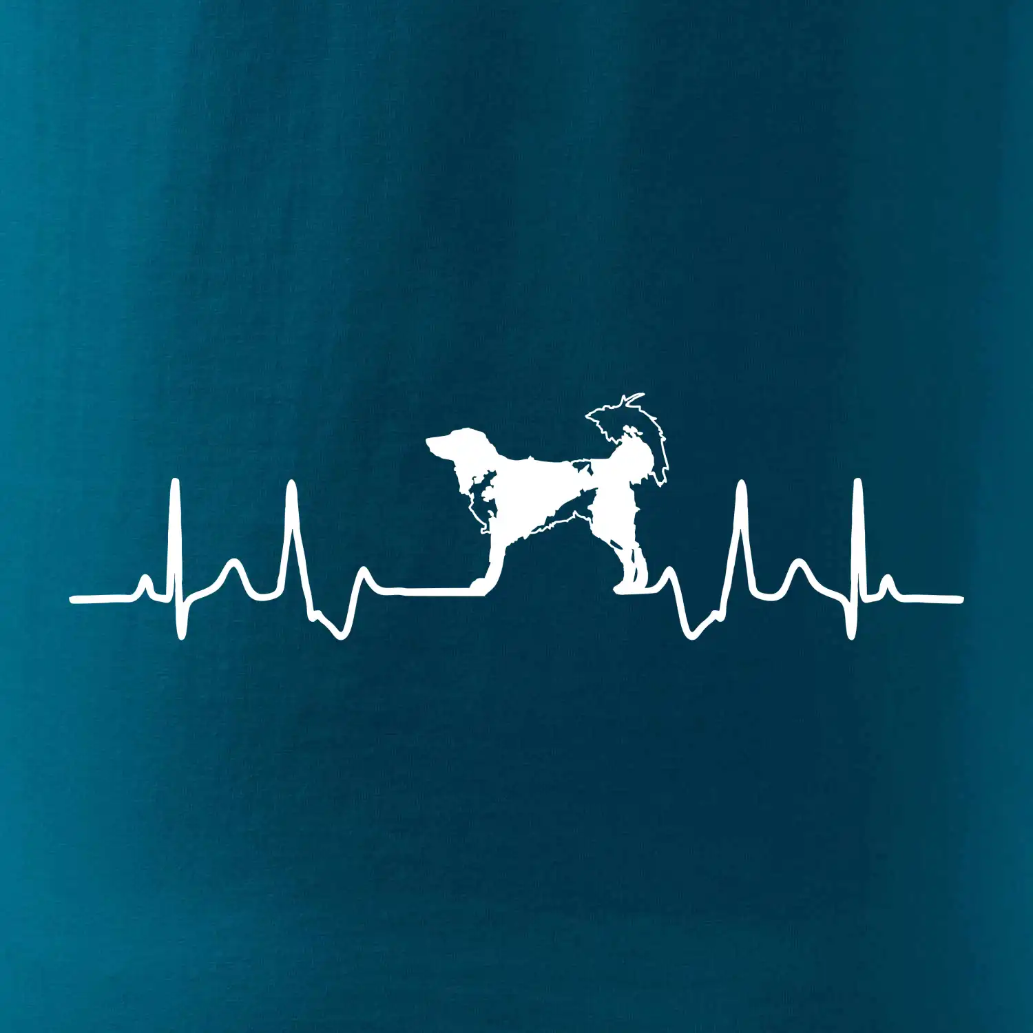 Český strakatý pes EKG