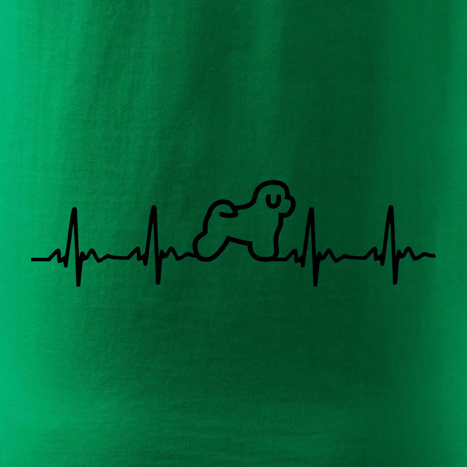 Bišonek ekg