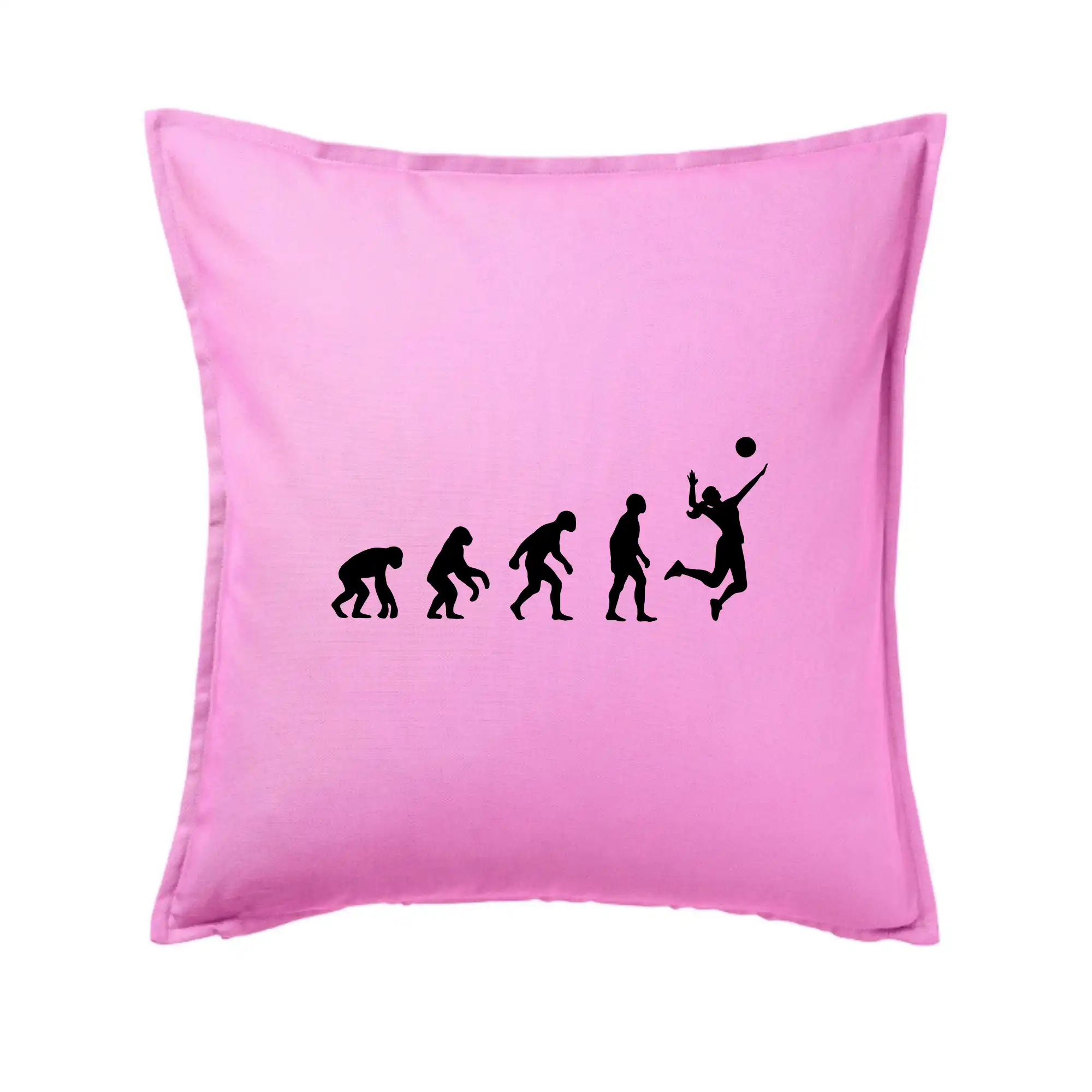 Evoluce volejbal culík