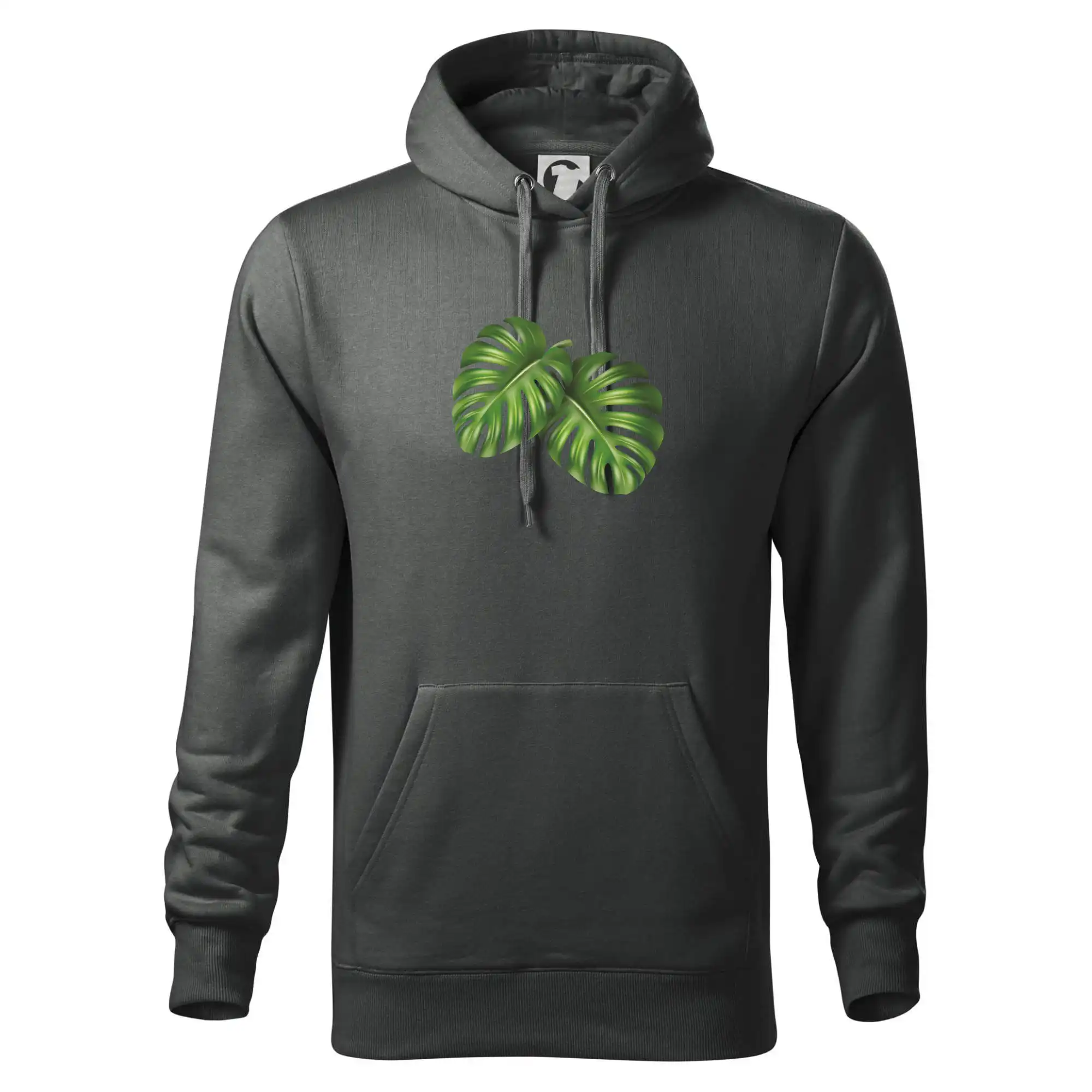 Monstera - dva listy