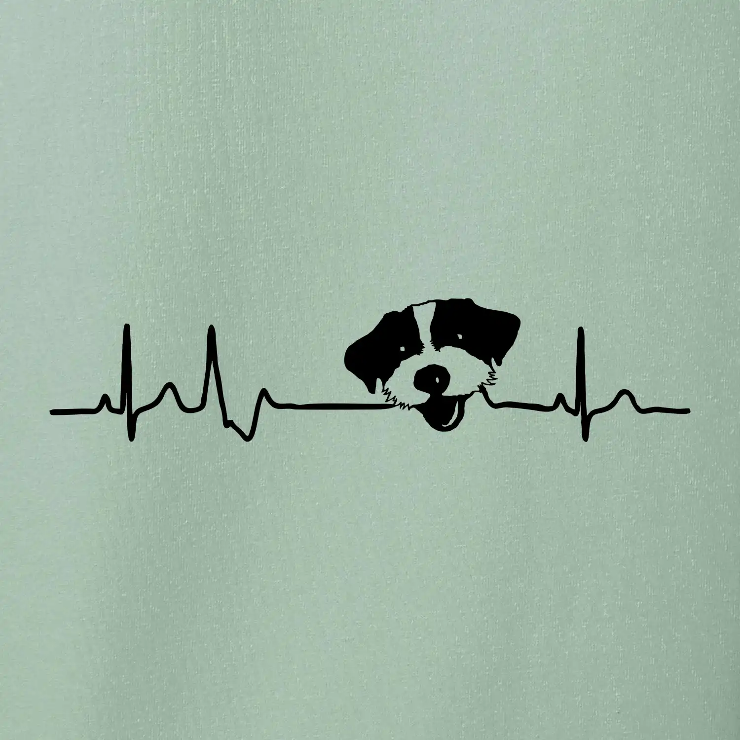 Jack Russell Terriér hrubosrstý Ekg