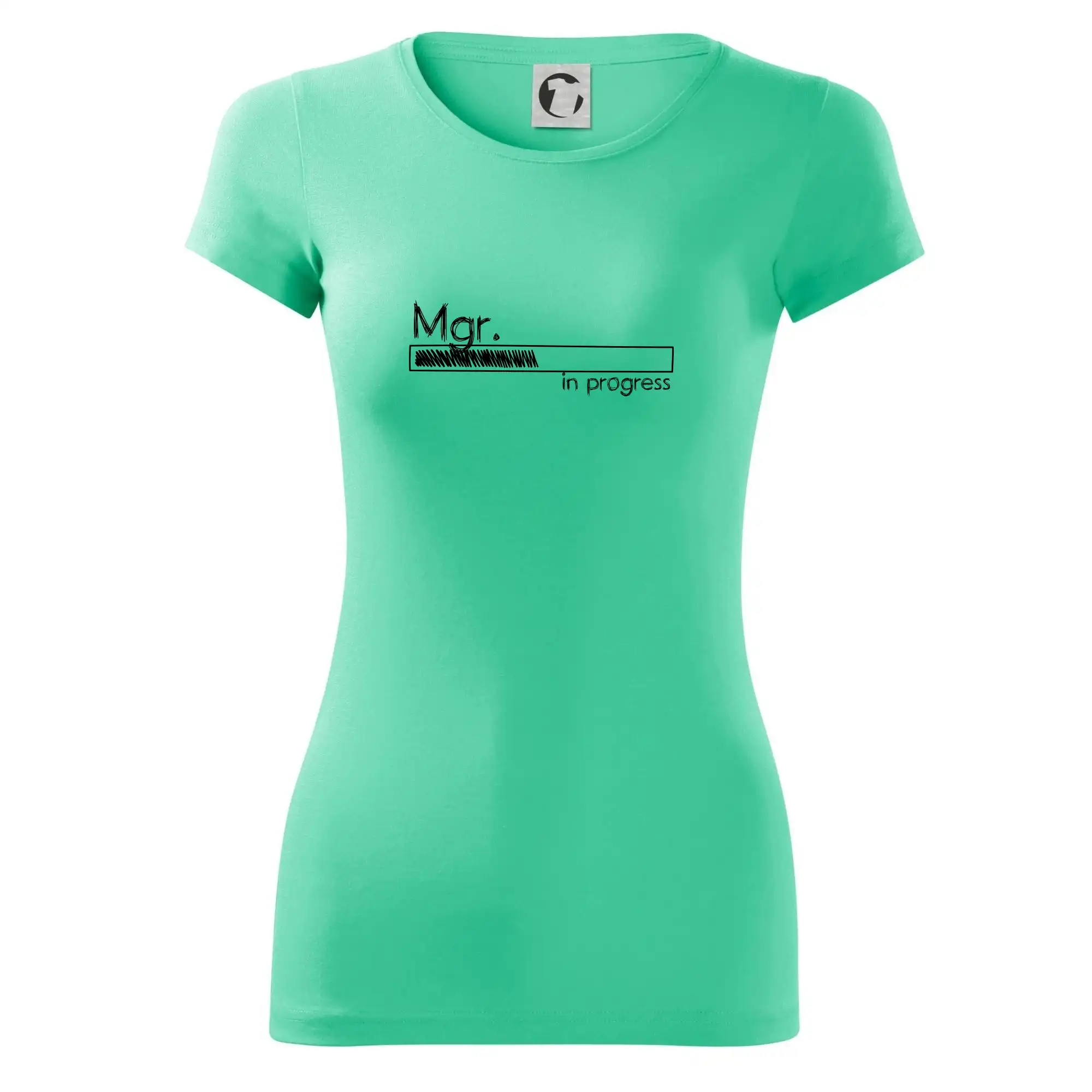 In progress titul Mgr.  magistr / magistra