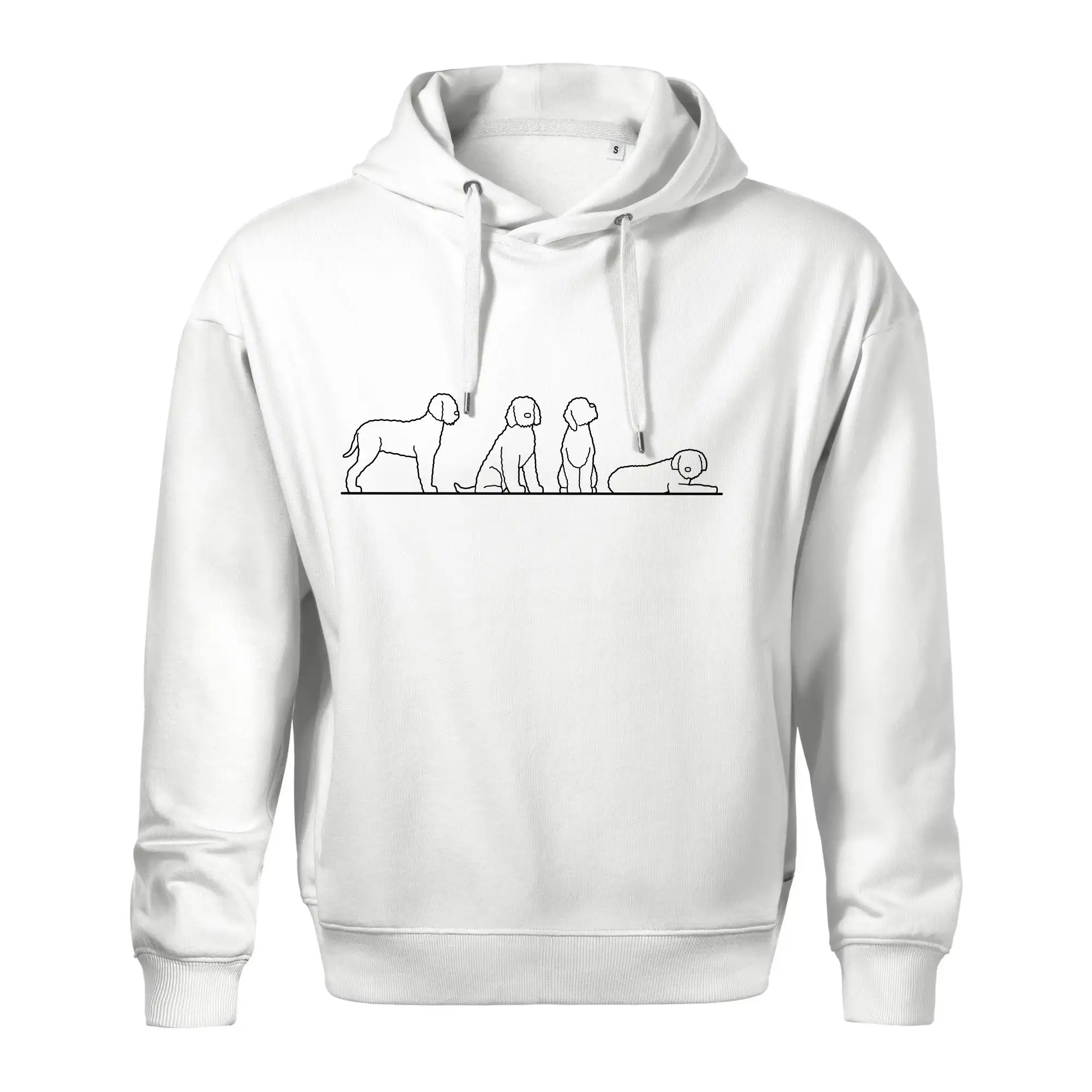 Lagotto romagnolo postavy linka