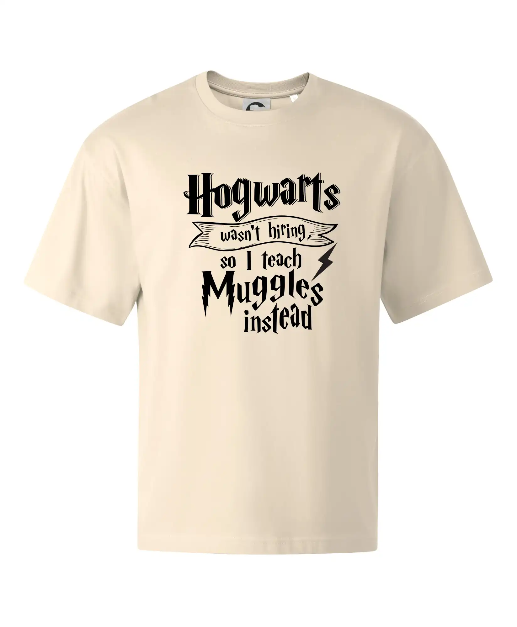 Harry - Hogwarts wasn’t hiring, so I teach Muggles instead