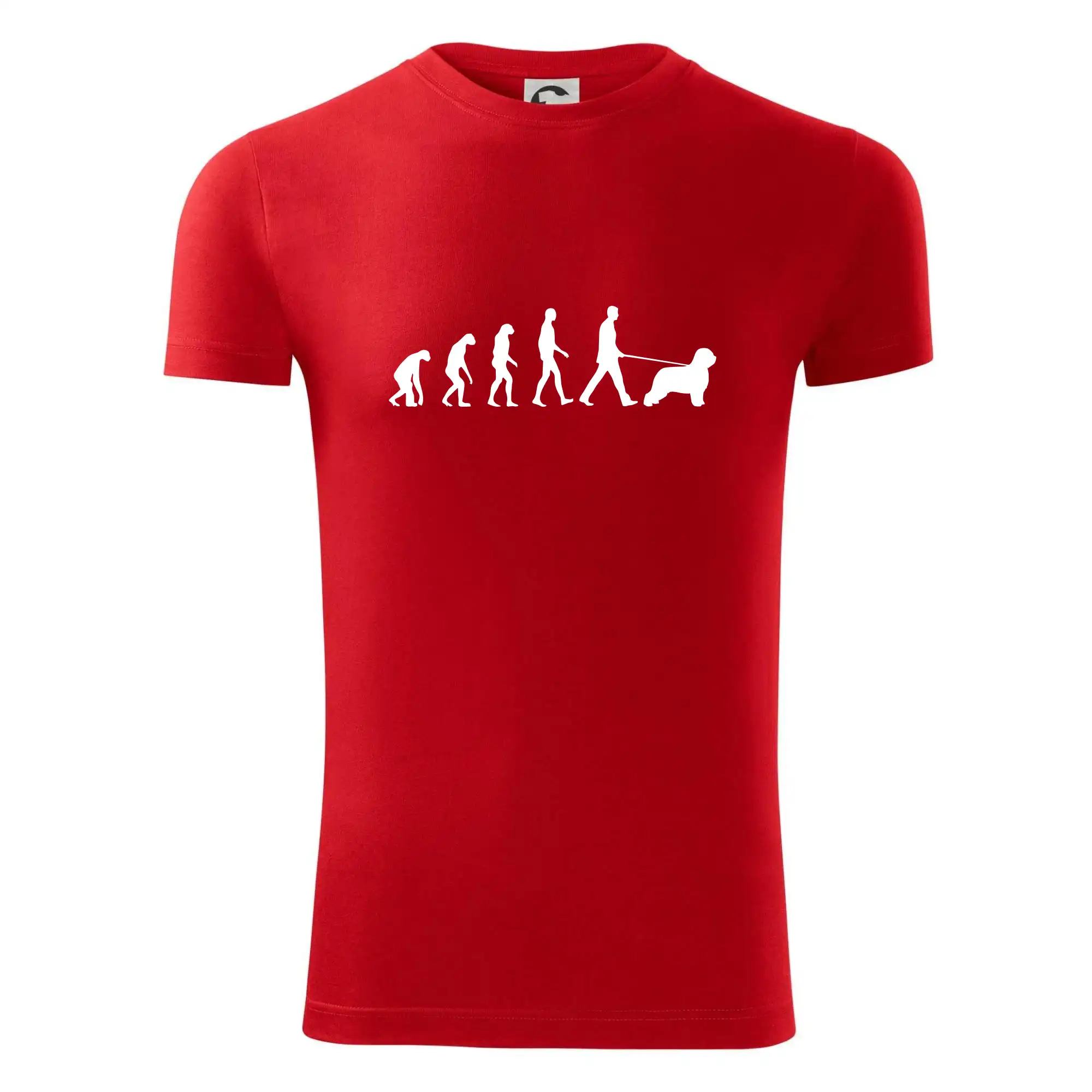 Evoluce pes Briard