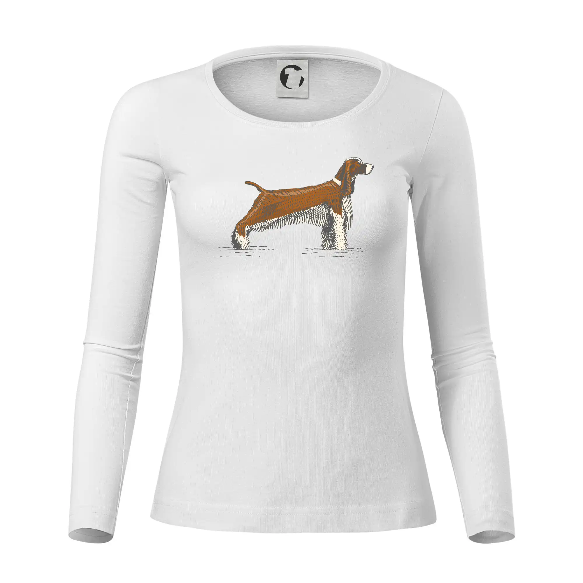 Vintage Springer spaniel