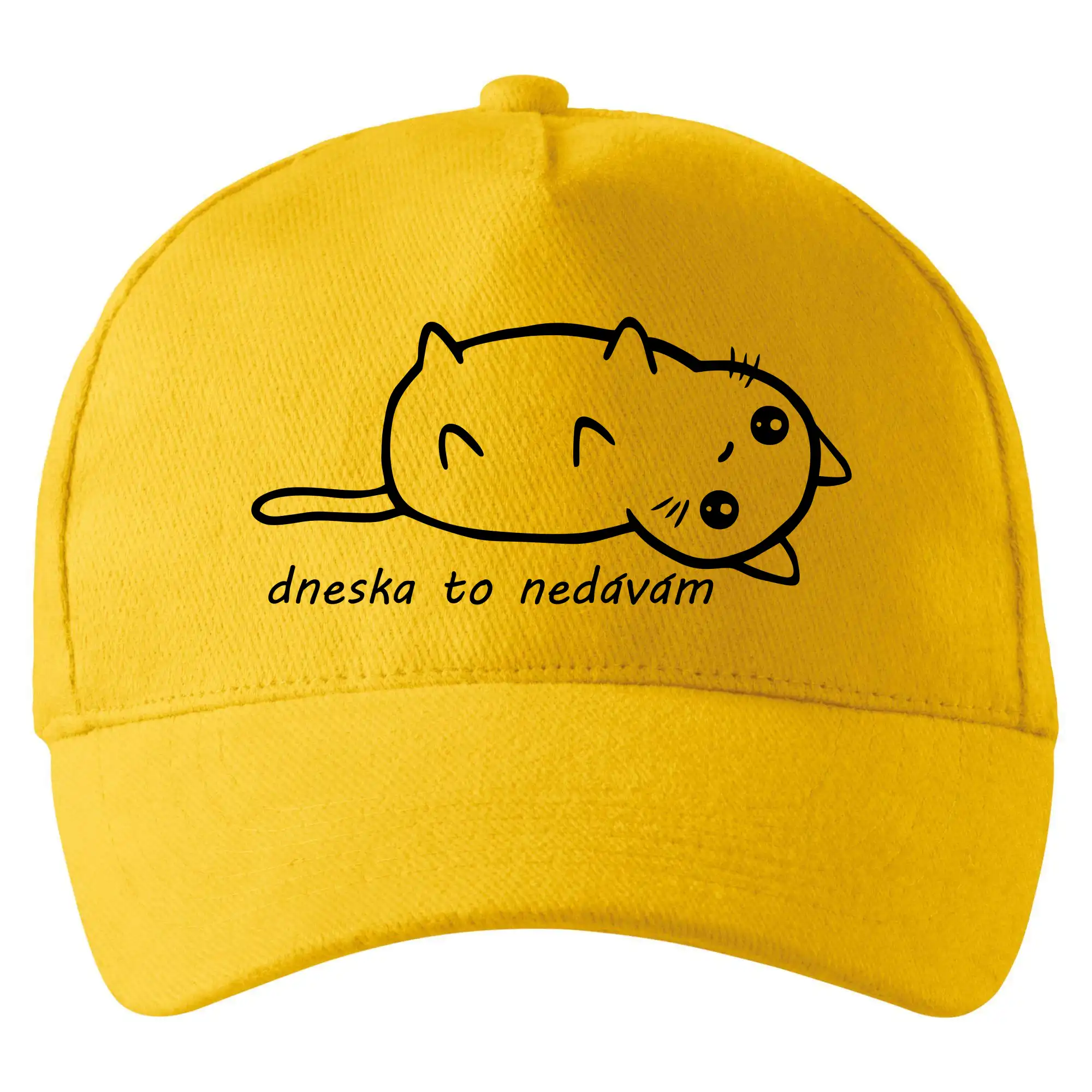 Vtipná tričká s mačkou - Dnes to nedávam - Šiltovka so zahnutým šiltom a mosaznou sponou