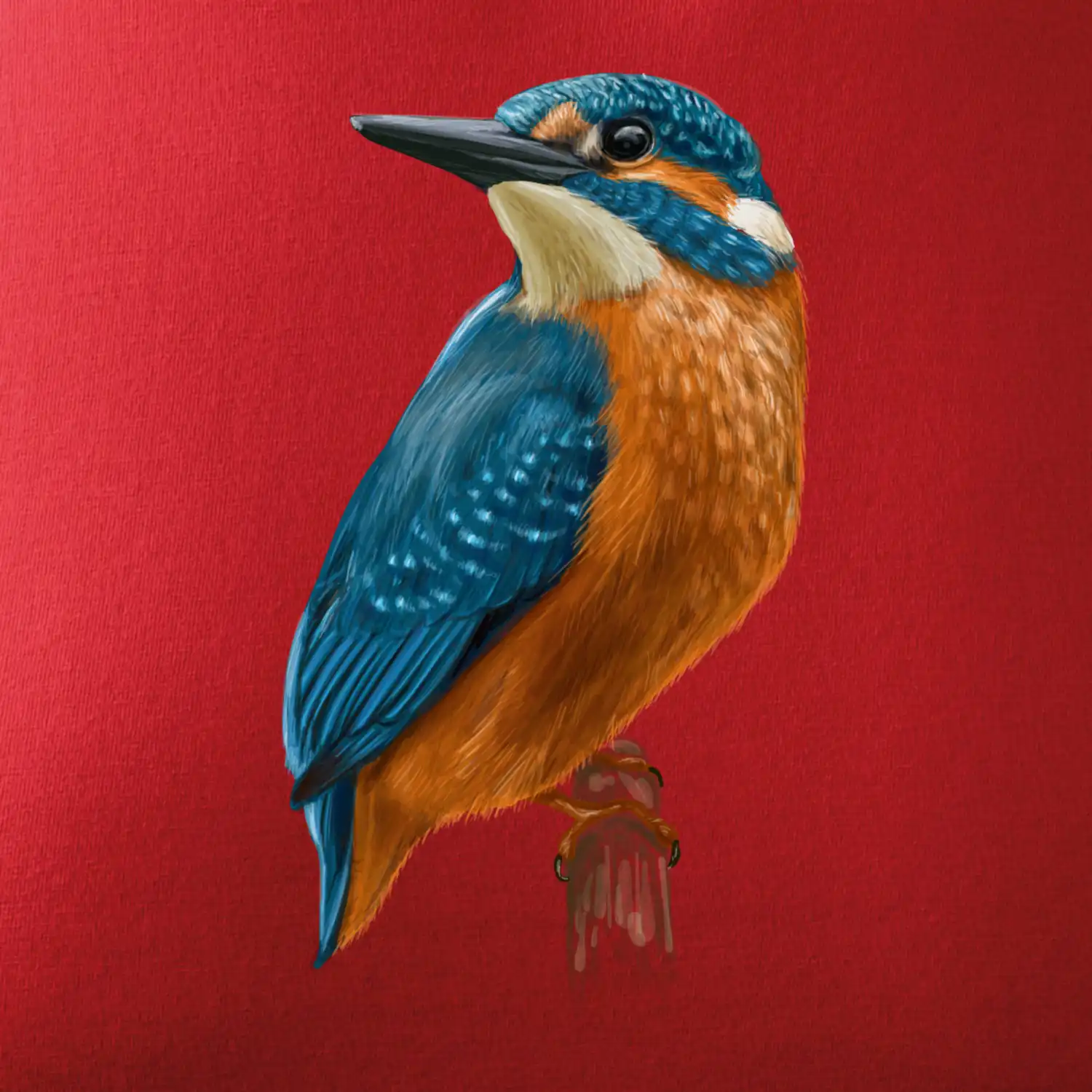 Lednáček kreslený