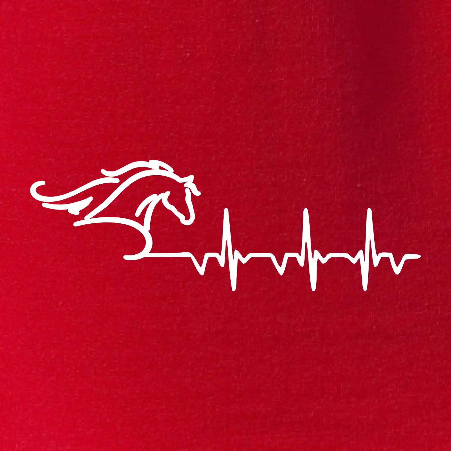 Hlava koně EKG