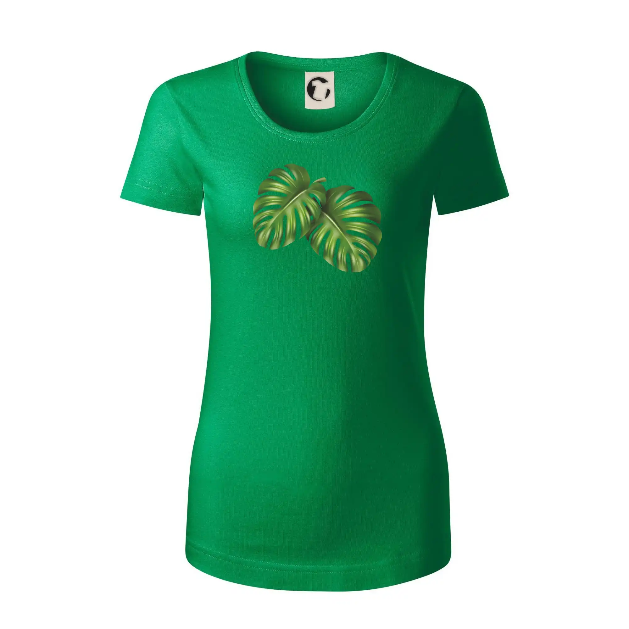 Monstera - dva listy
