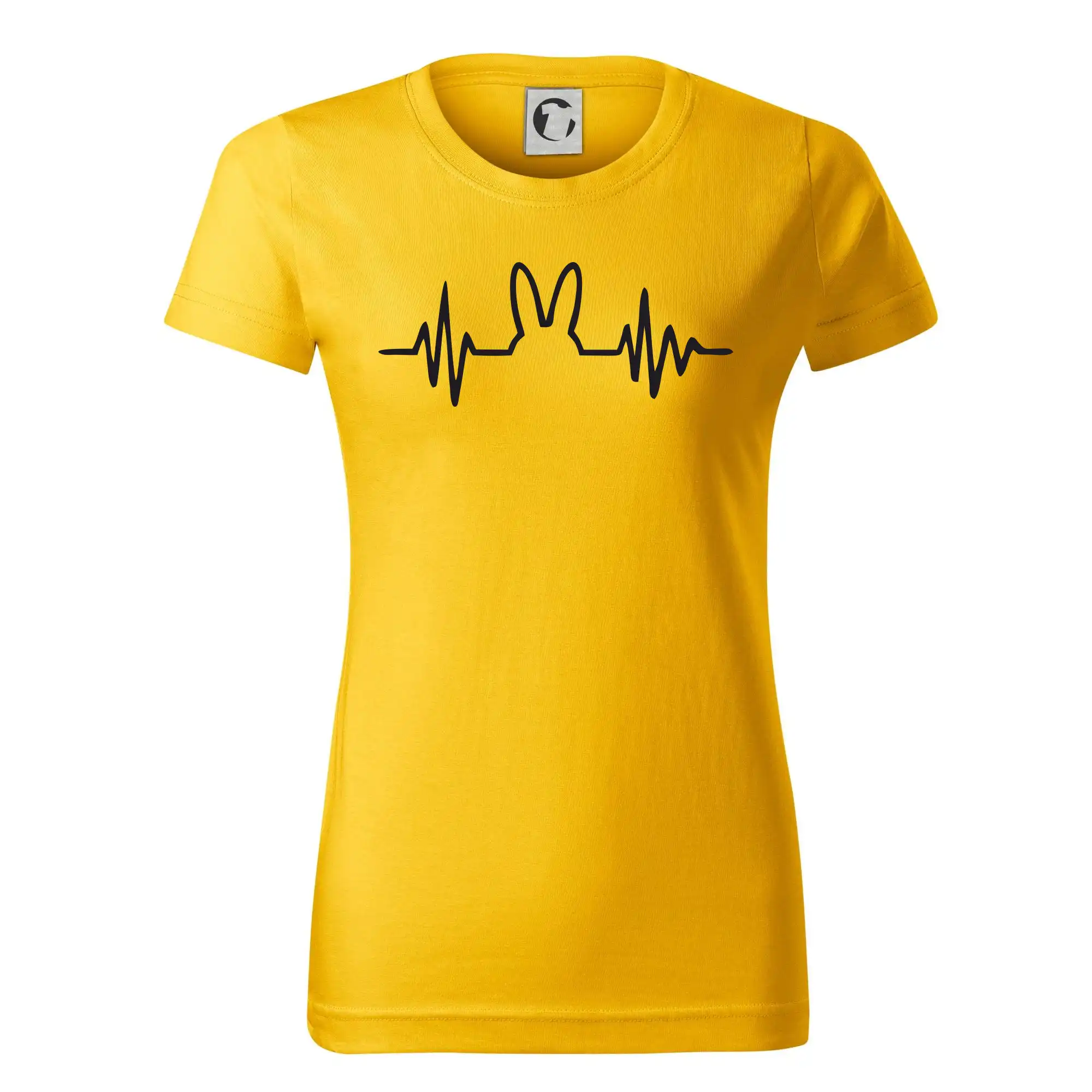 EKG zajíc