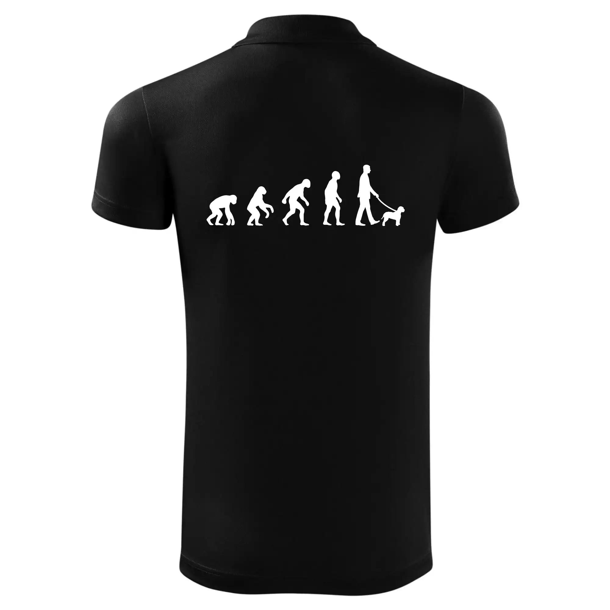 Lagotto romagnolo Evoluce