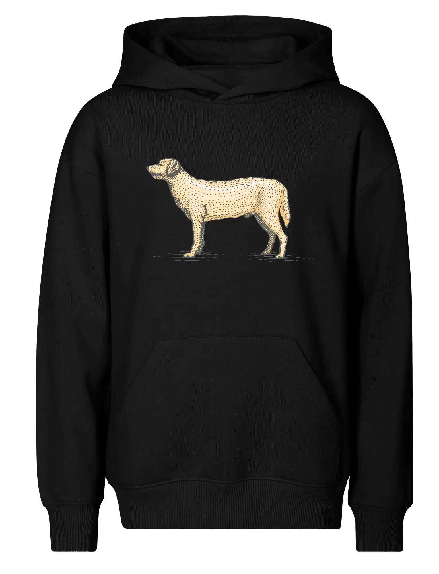 Vintage Labrador
