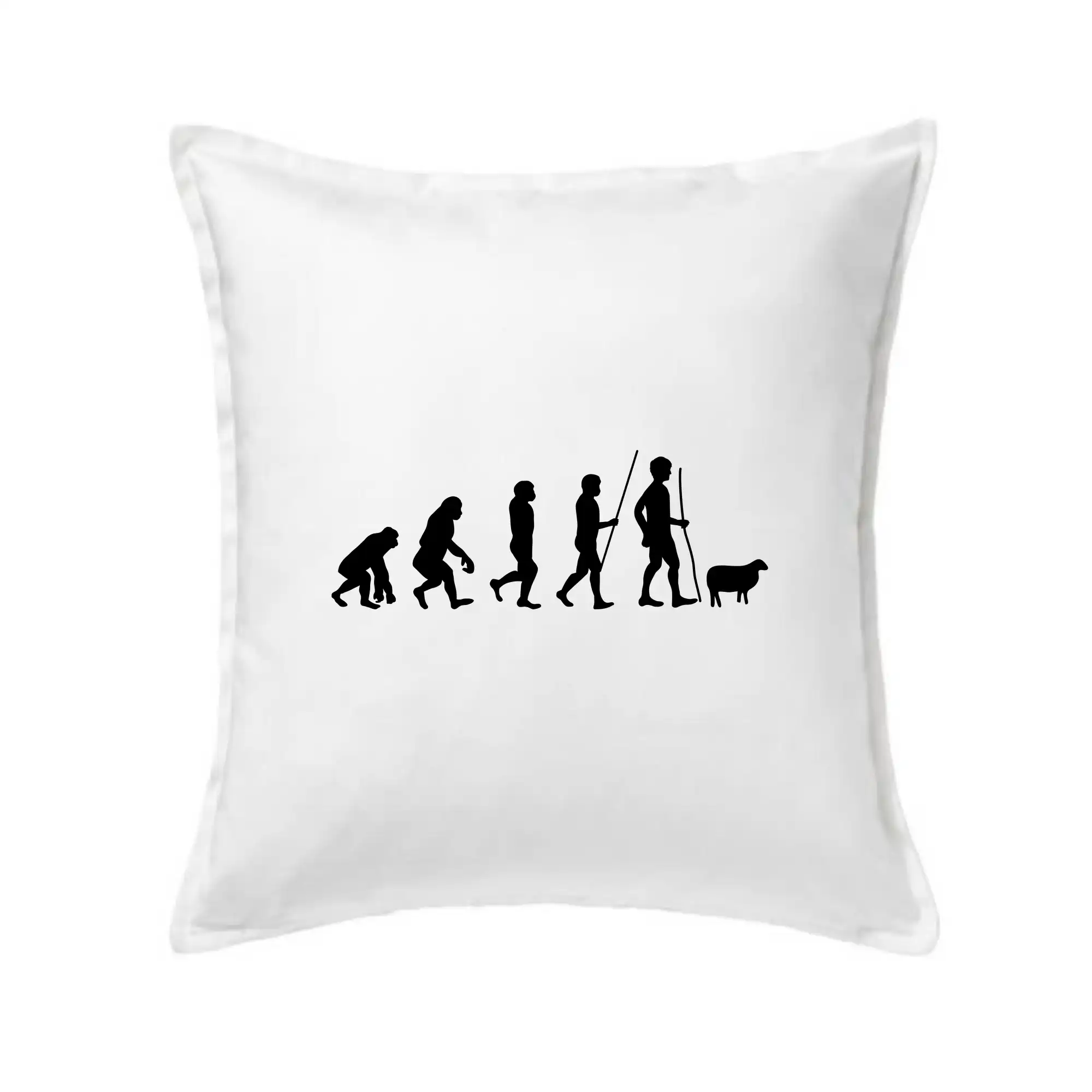 Evoluce pastevec ovcí