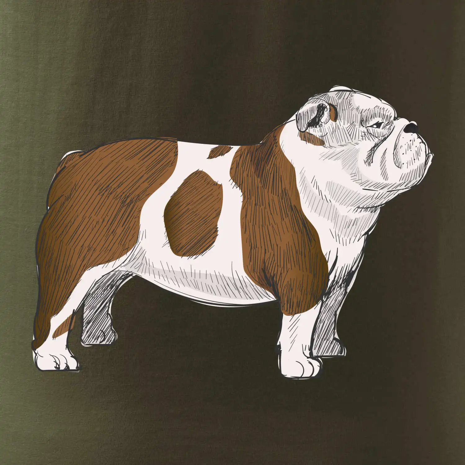 Vintage English bulldog