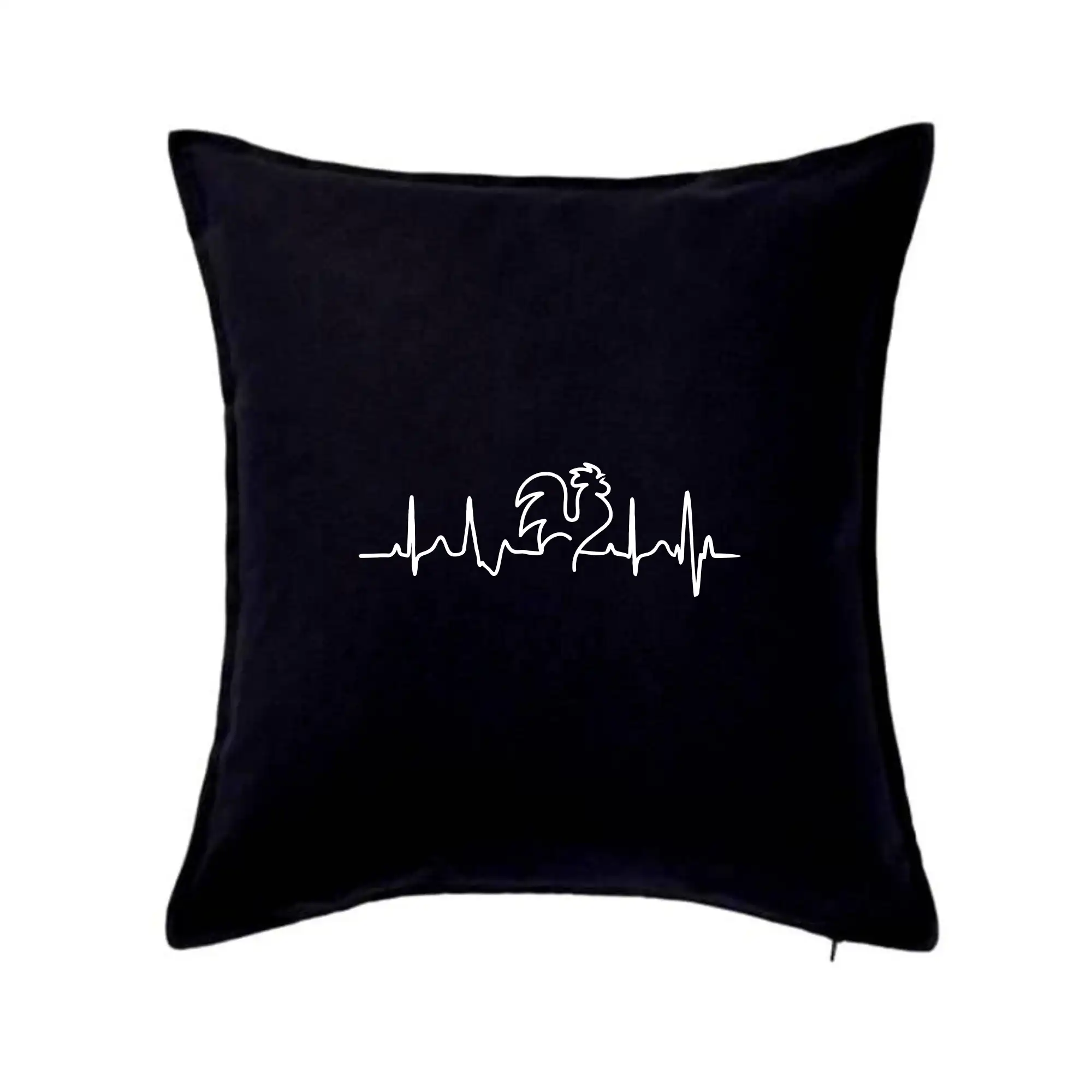 Kohout ekg