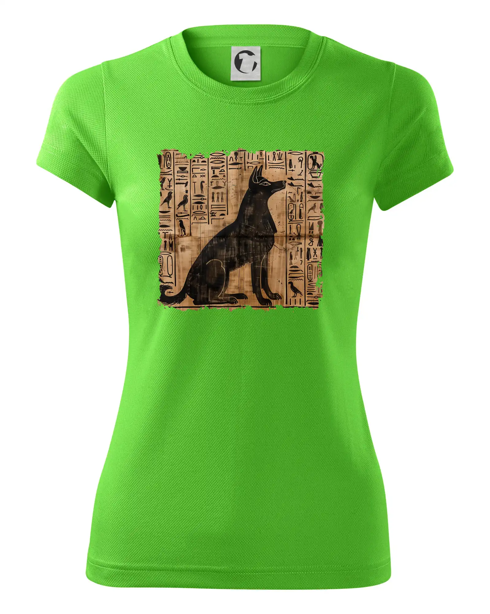 Egyptské hieroglyfy pes