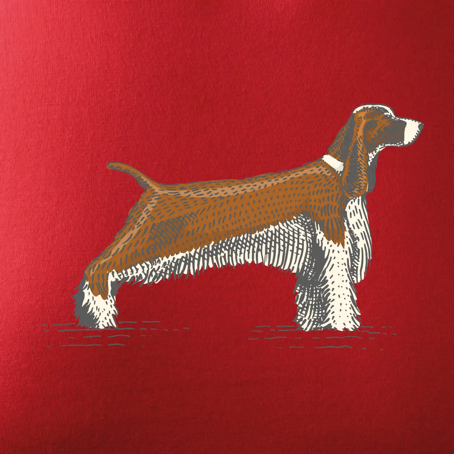 Vintage Springer spaniel