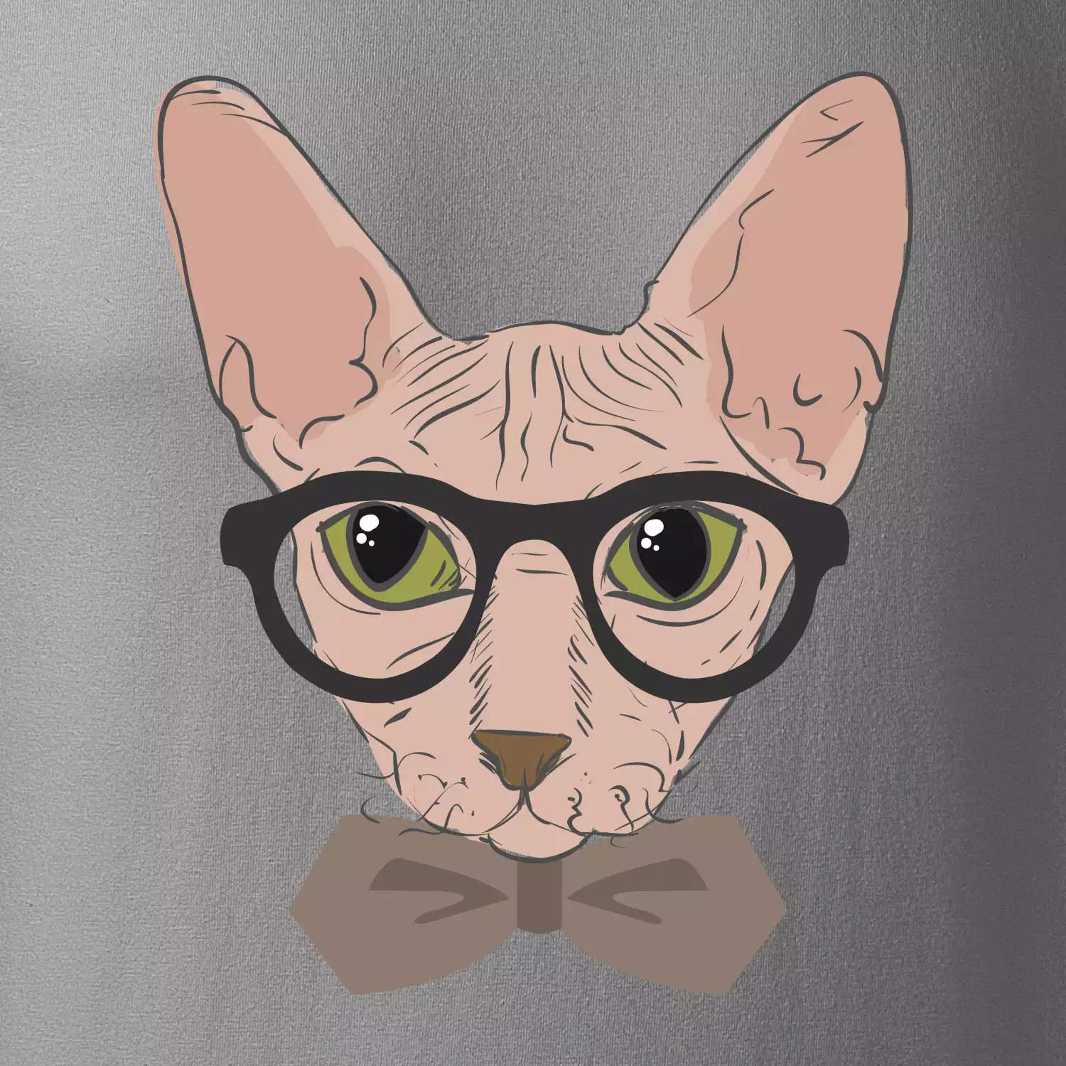 Hipster sphynx