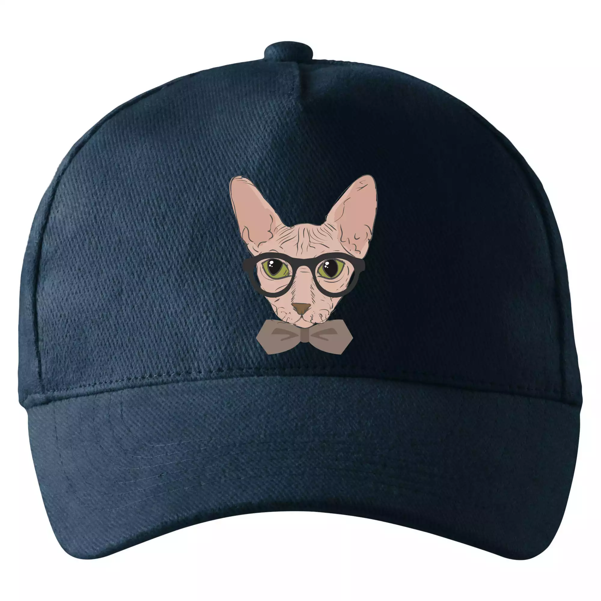 Hipster sphynx