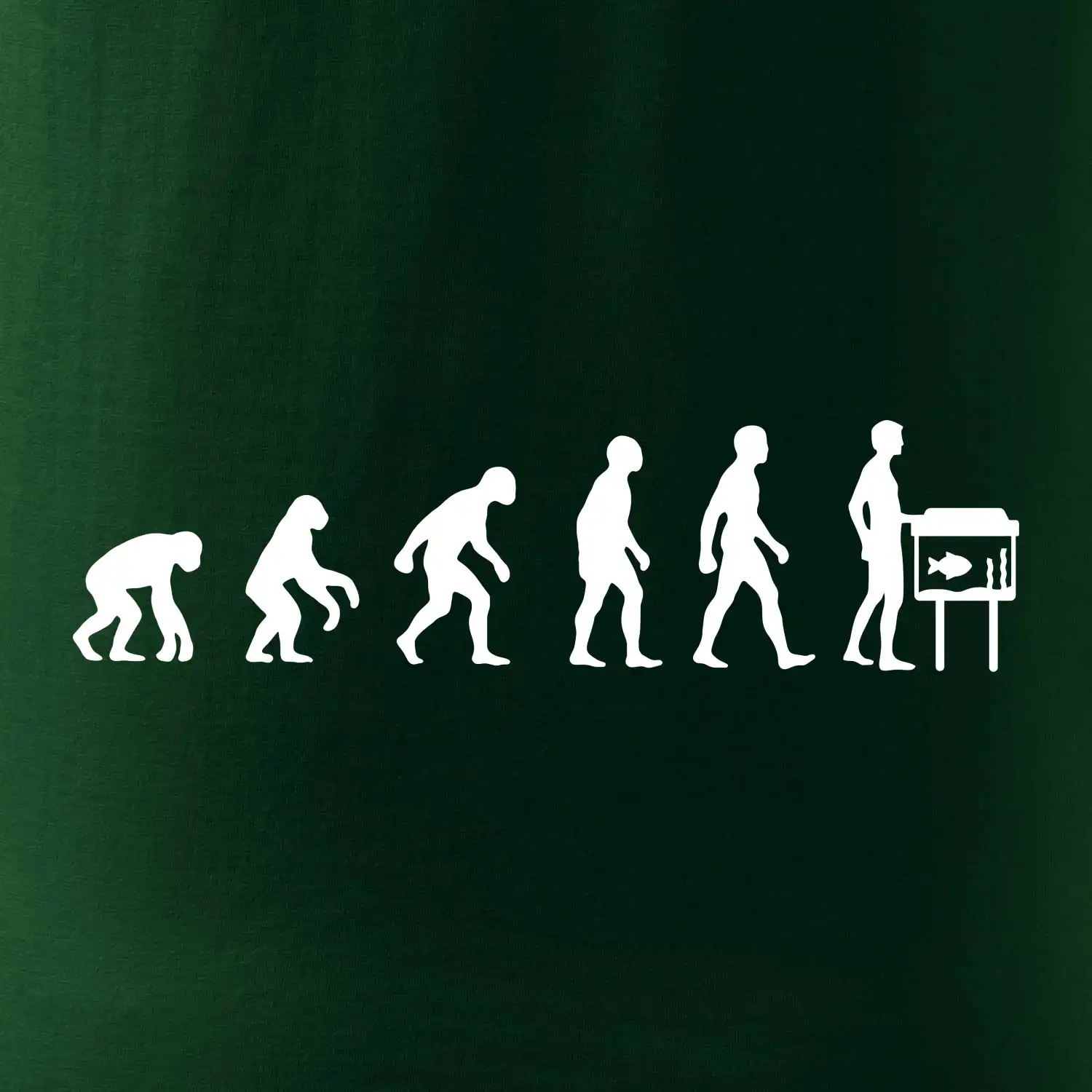 Evoluce akvaristika