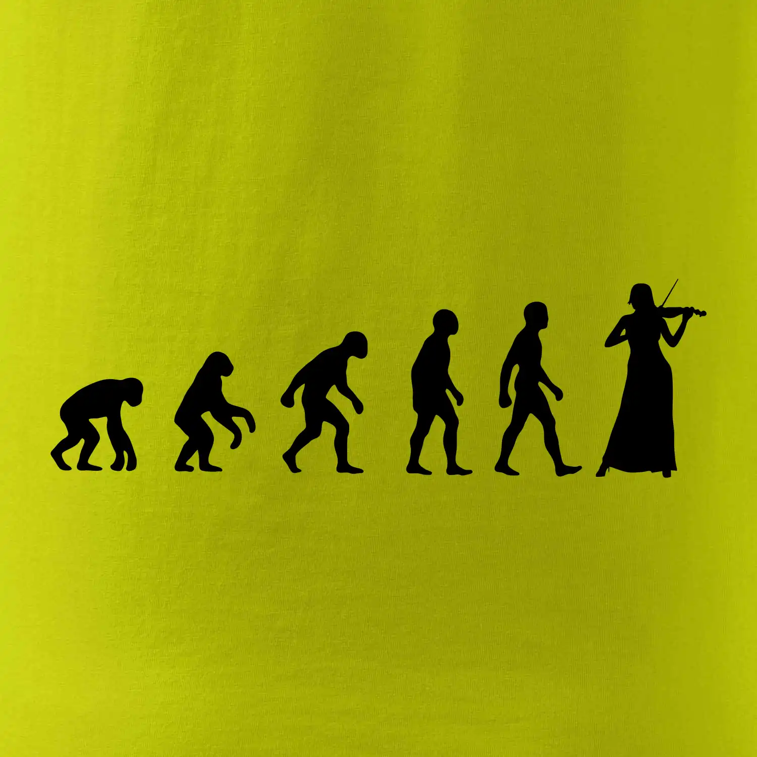 Evoluce houslistka