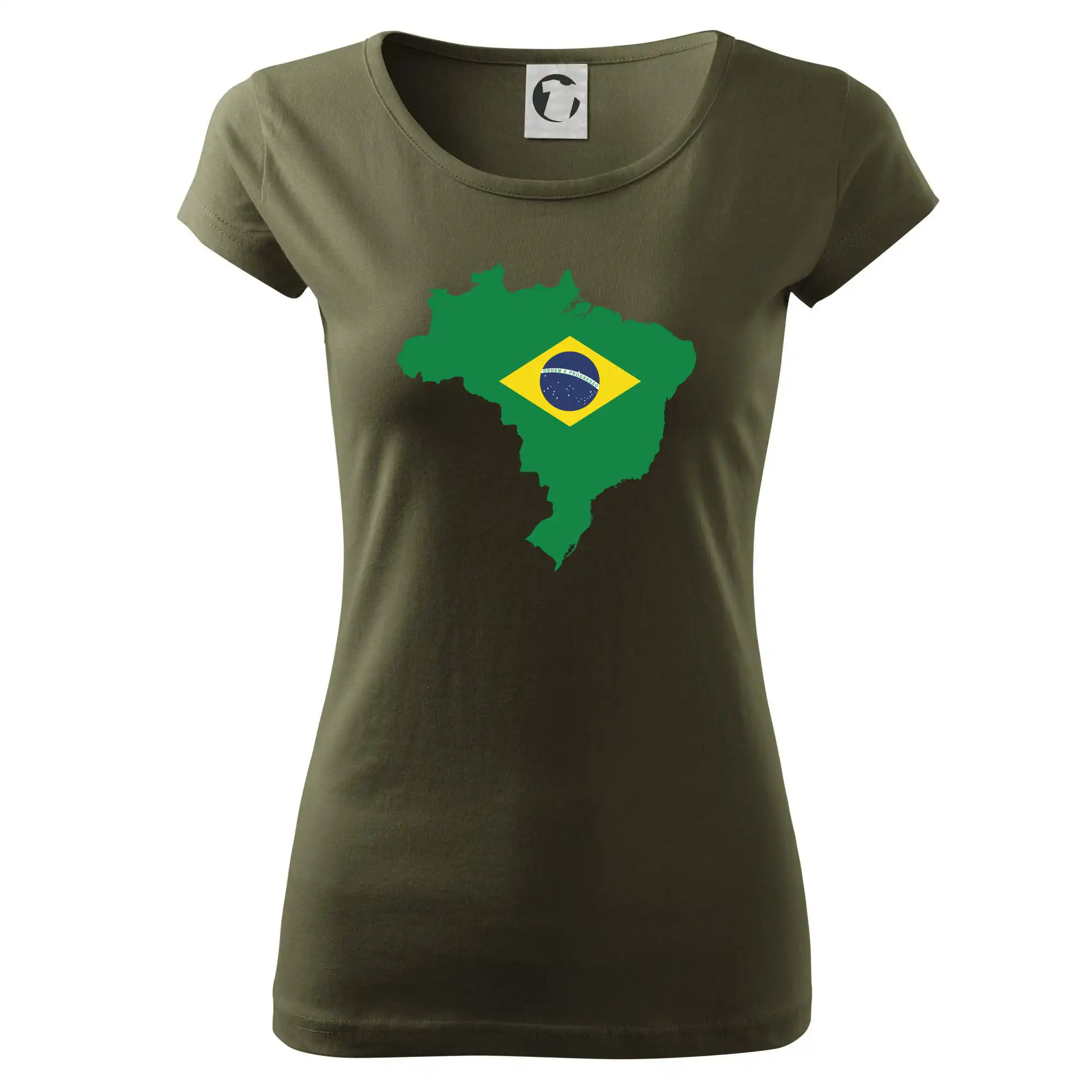 Brazílie vlajka v mapě