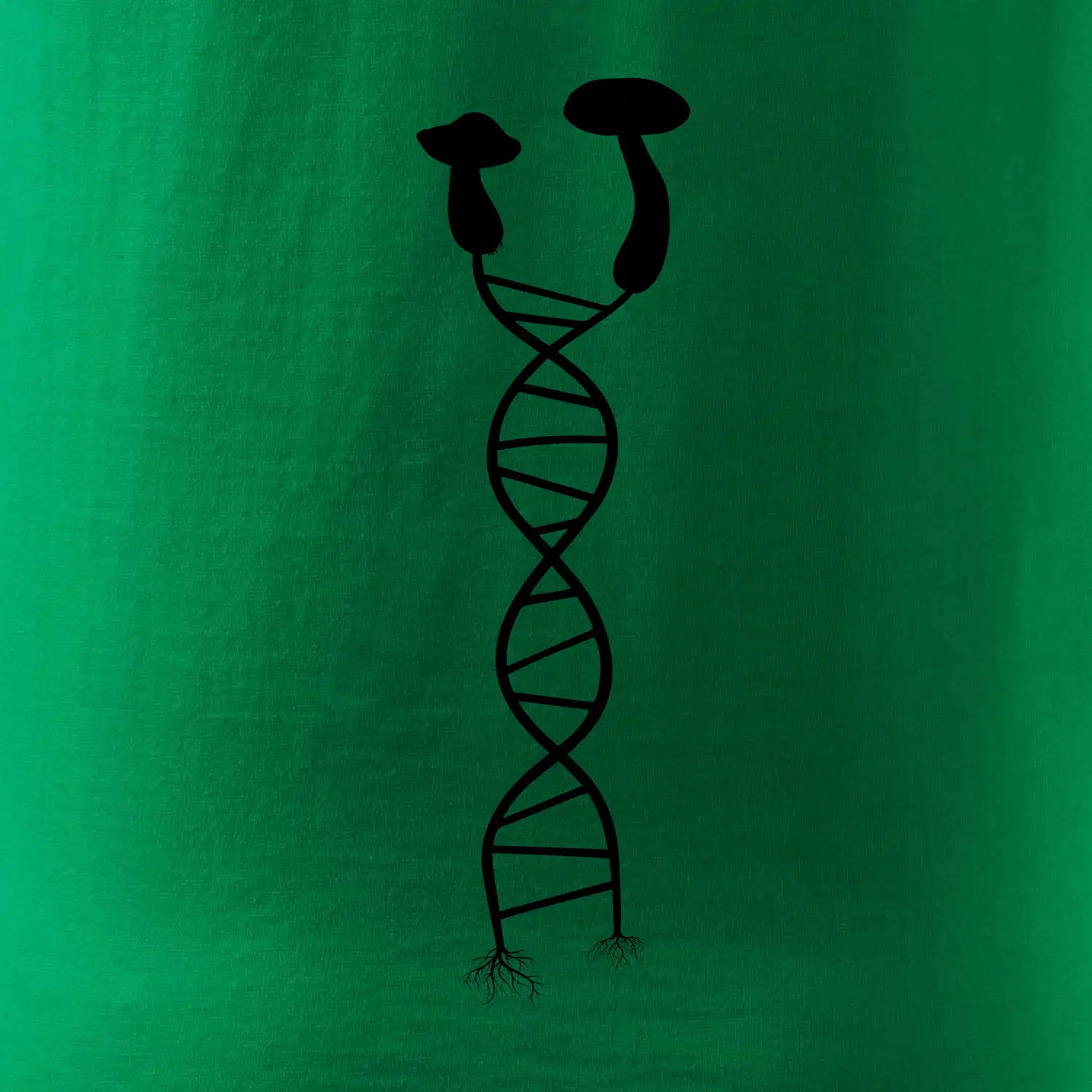 DNA houby