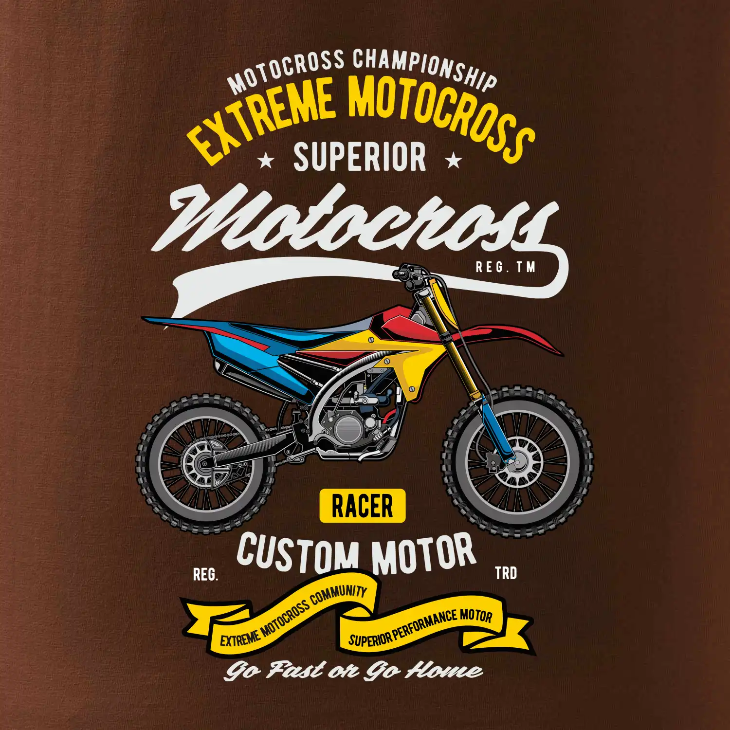 Motocross extreme custom motor