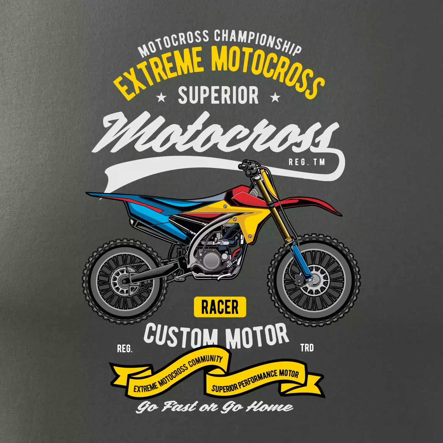 Motocross extreme custom motor