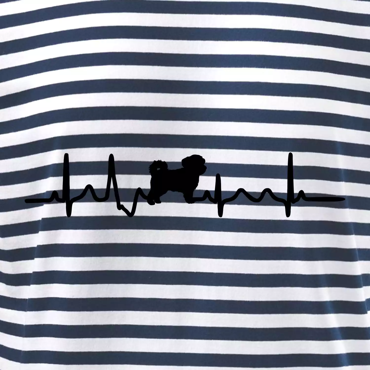 Havanský psík ekg
