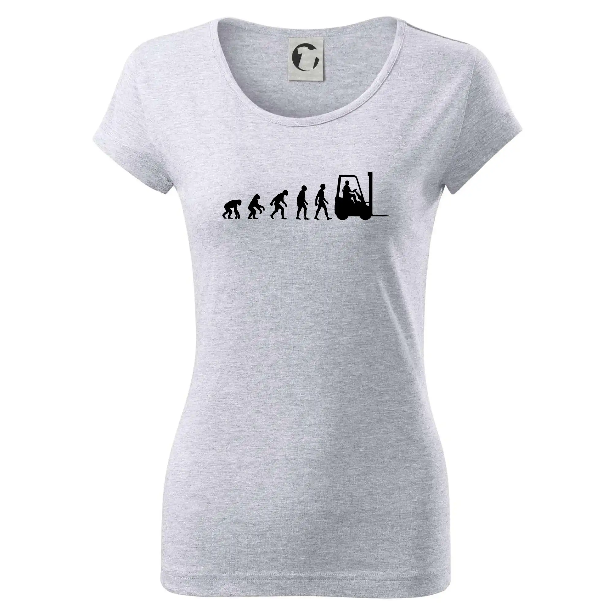Evoluce ještěrka