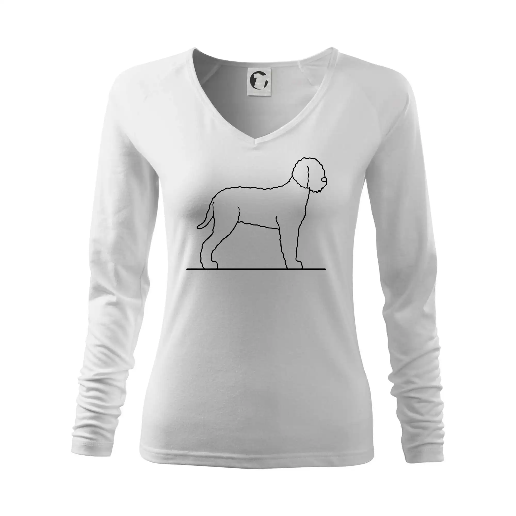 Lagotto romagnolo stojící