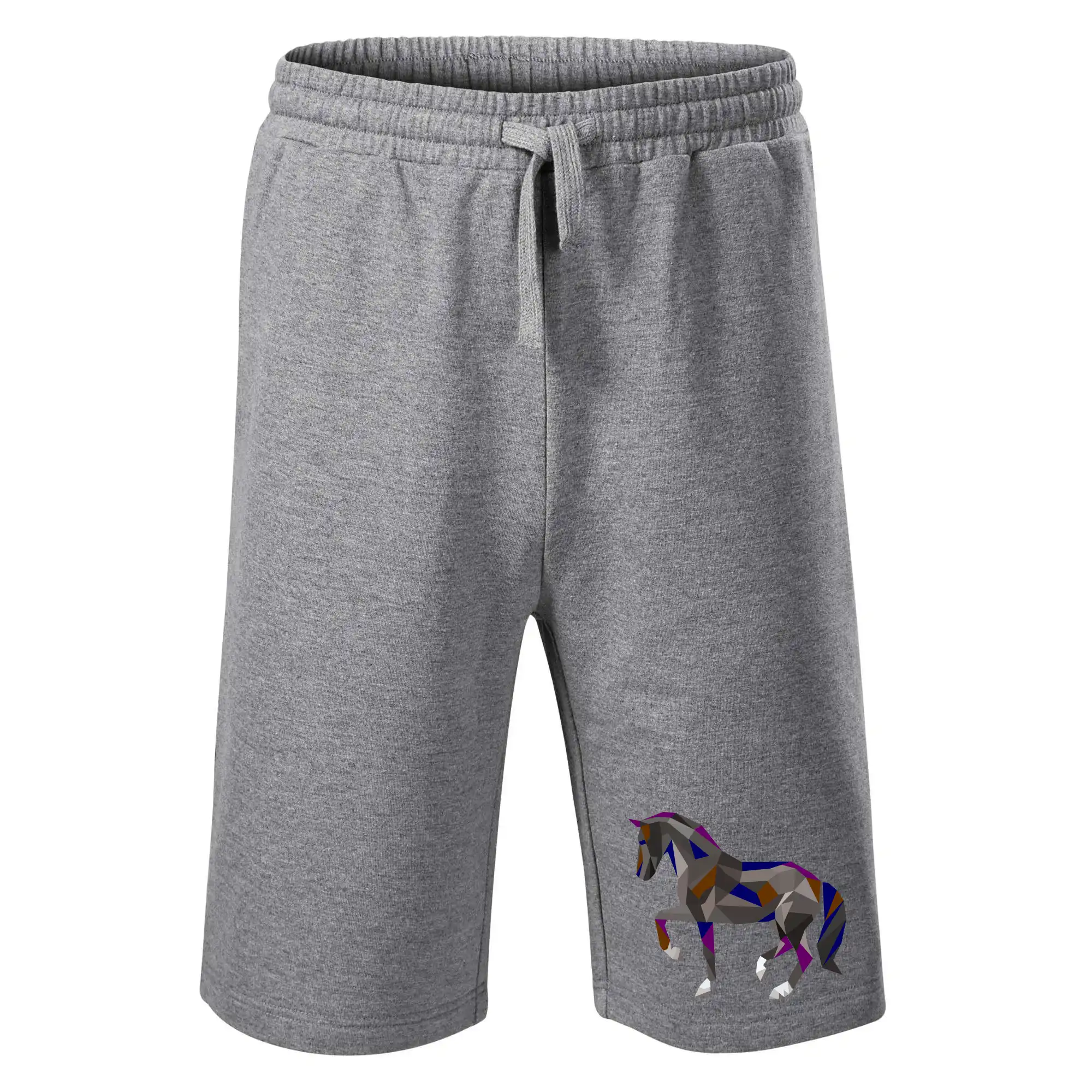 Kůň geometrie barevný