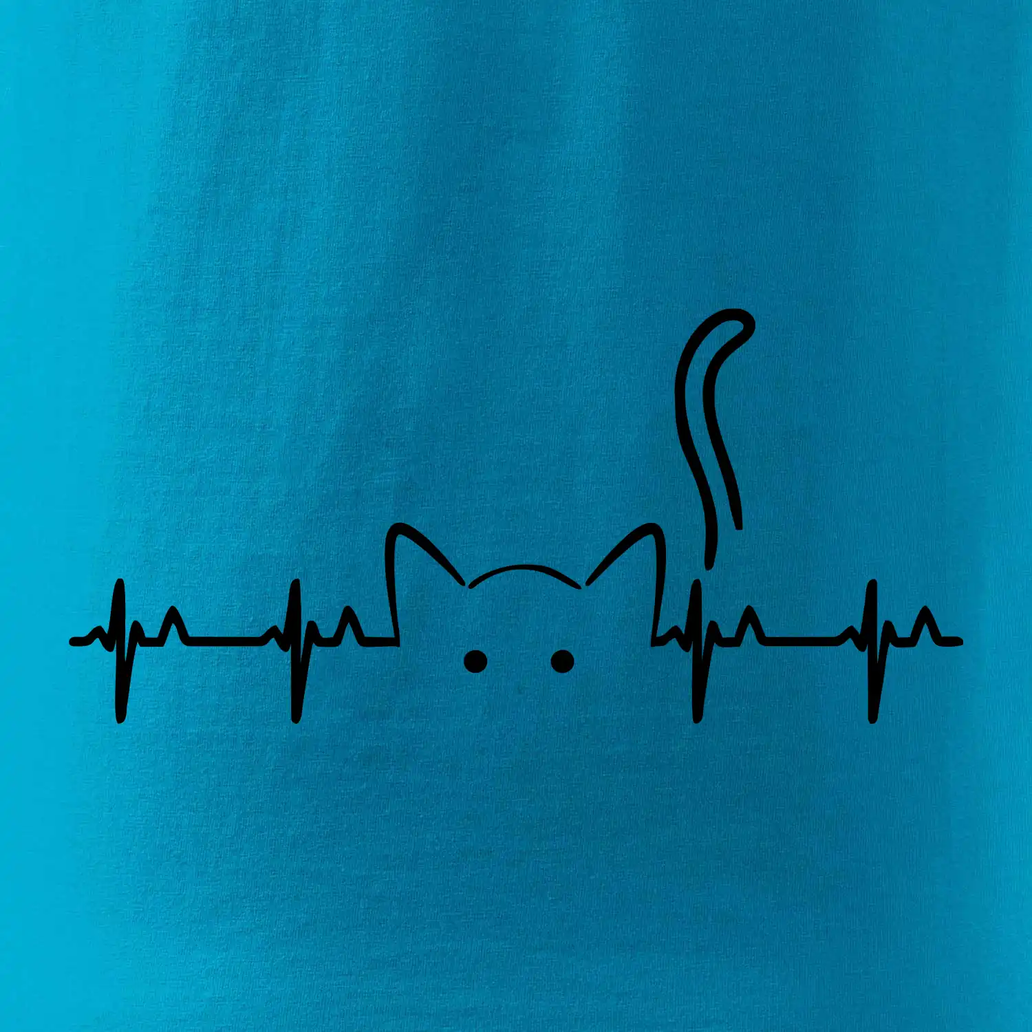Kočka EKG
