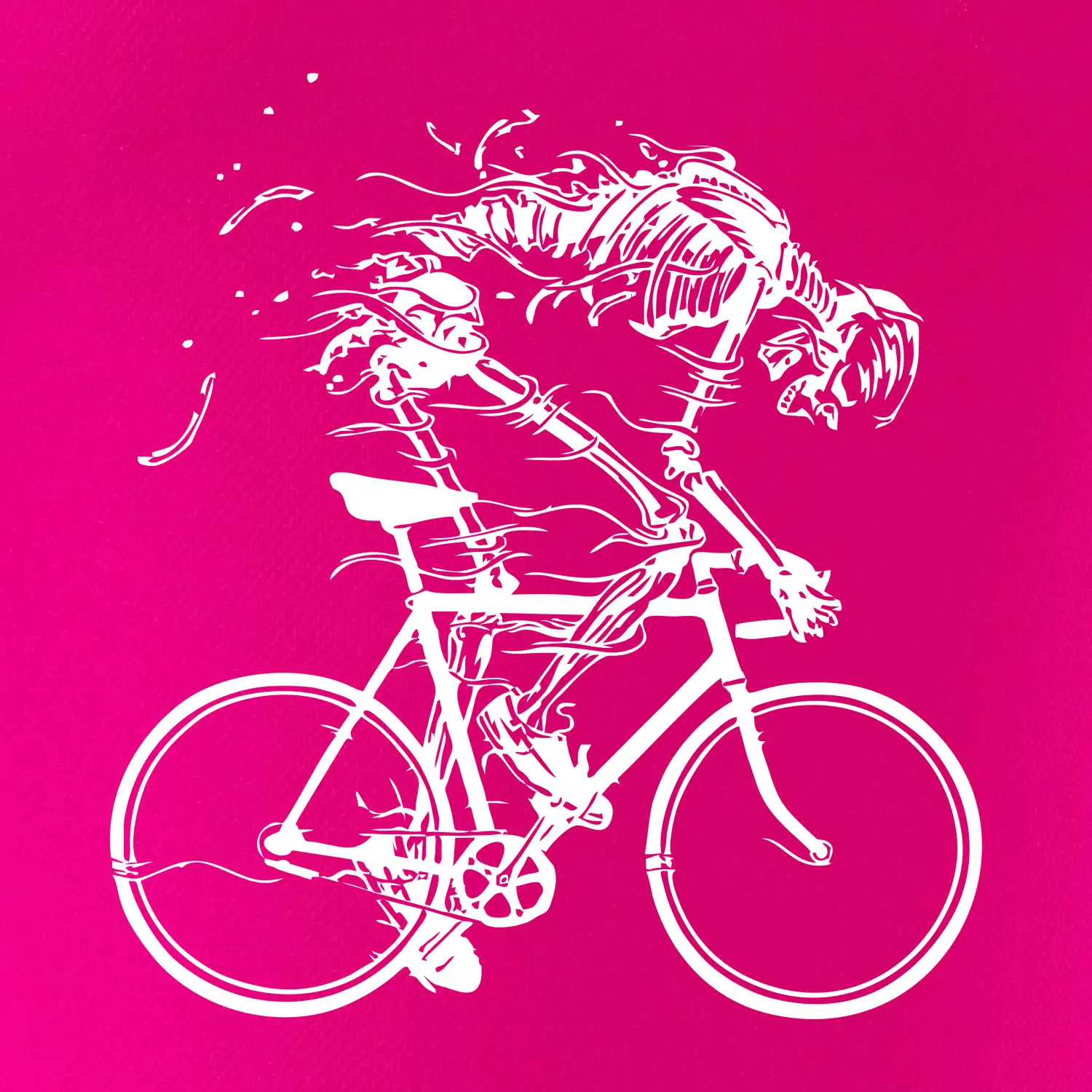 Gravel Bike - kostra