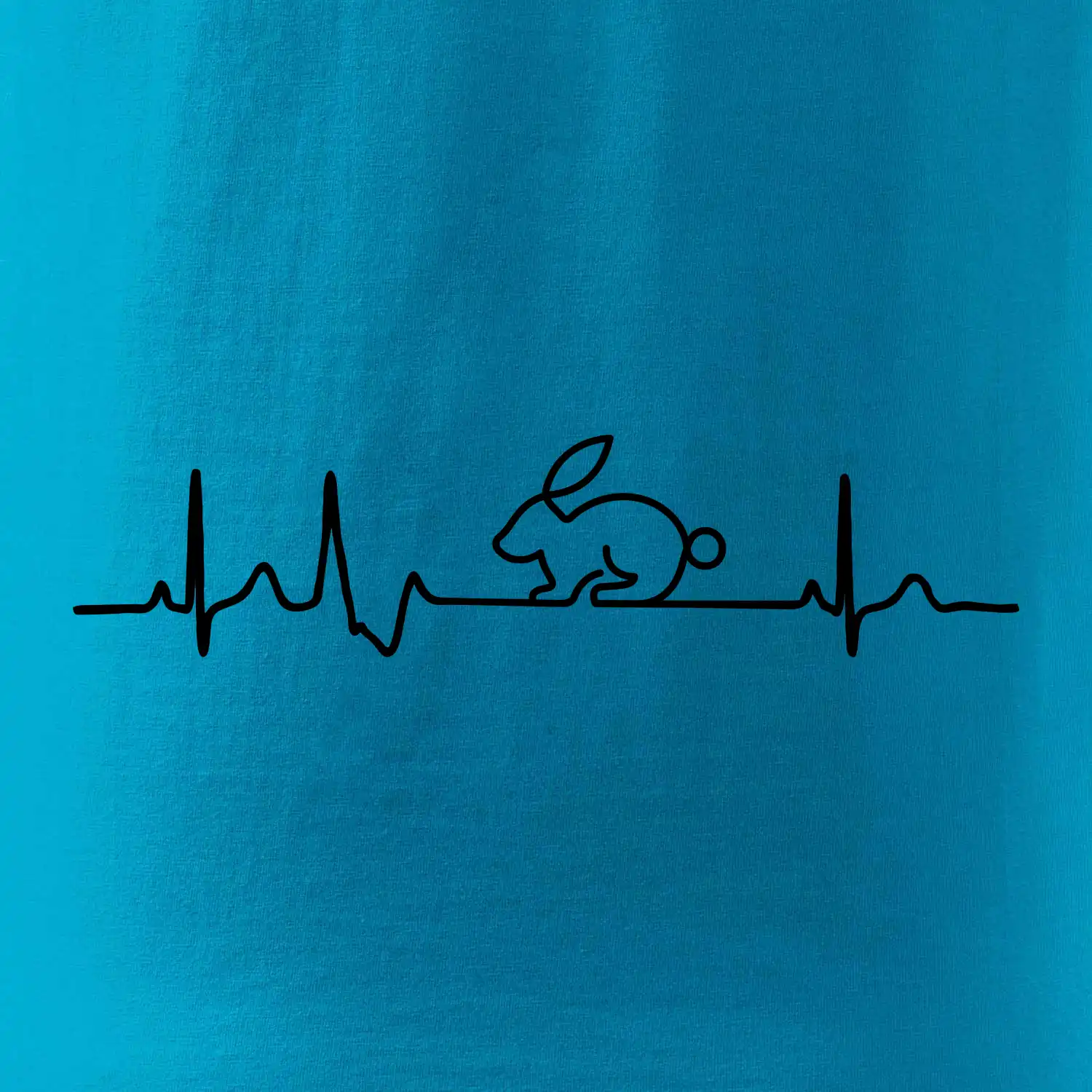 EKG králík