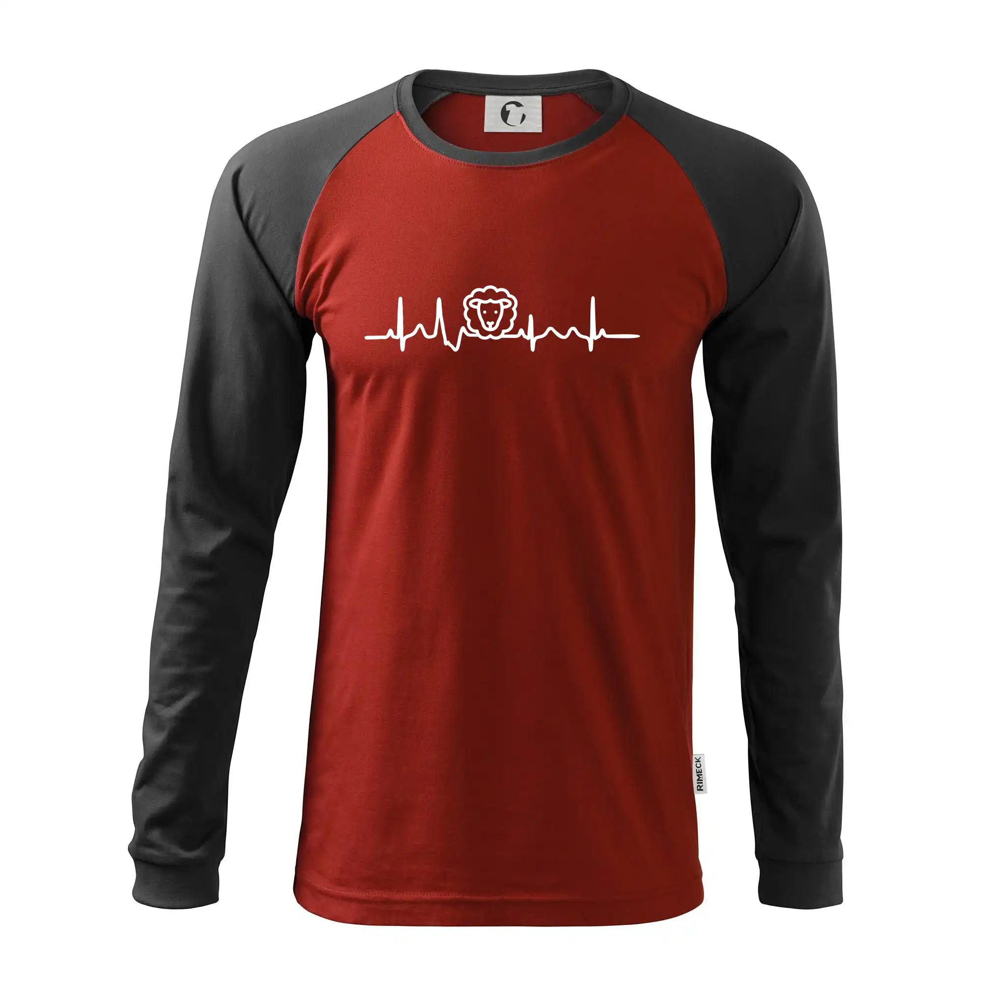 Ekg ovce