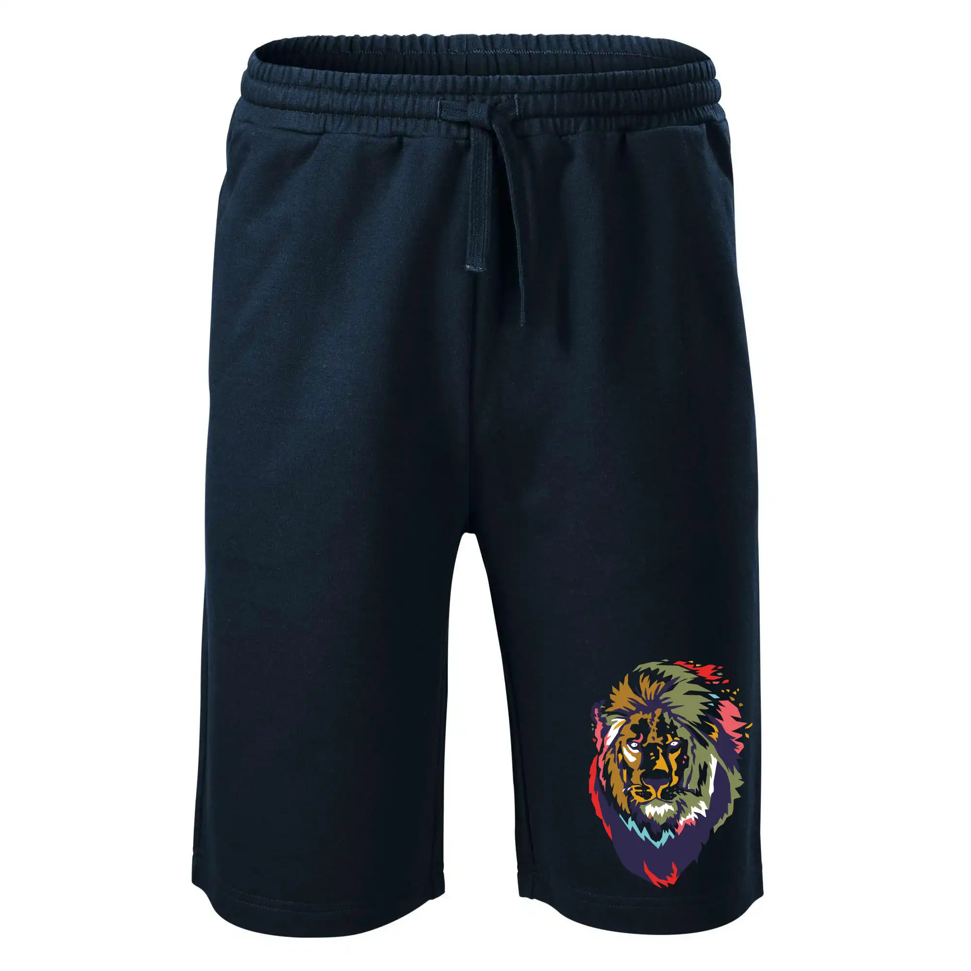 Hlava lva kreslená jednoduchá