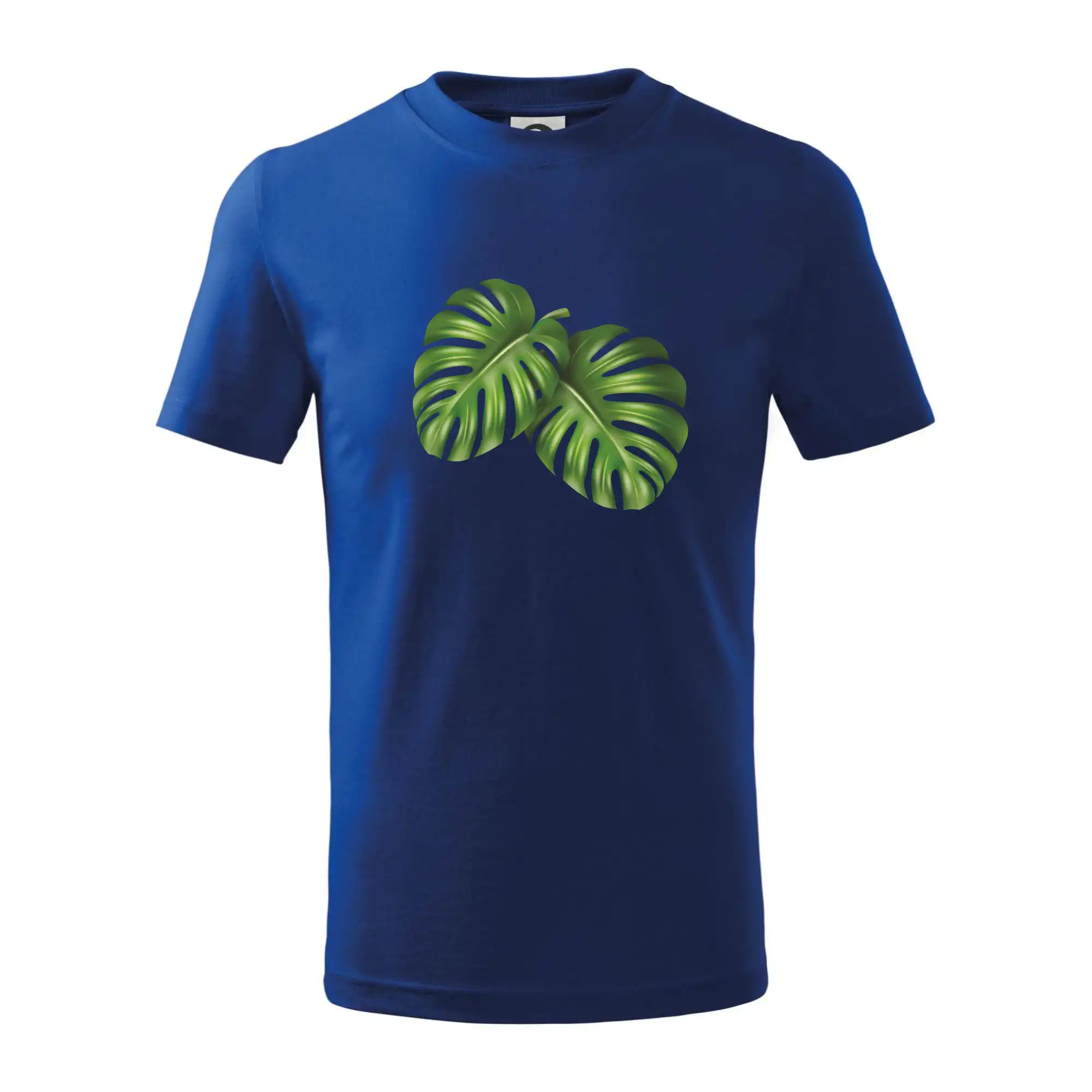 Monstera - dva listy