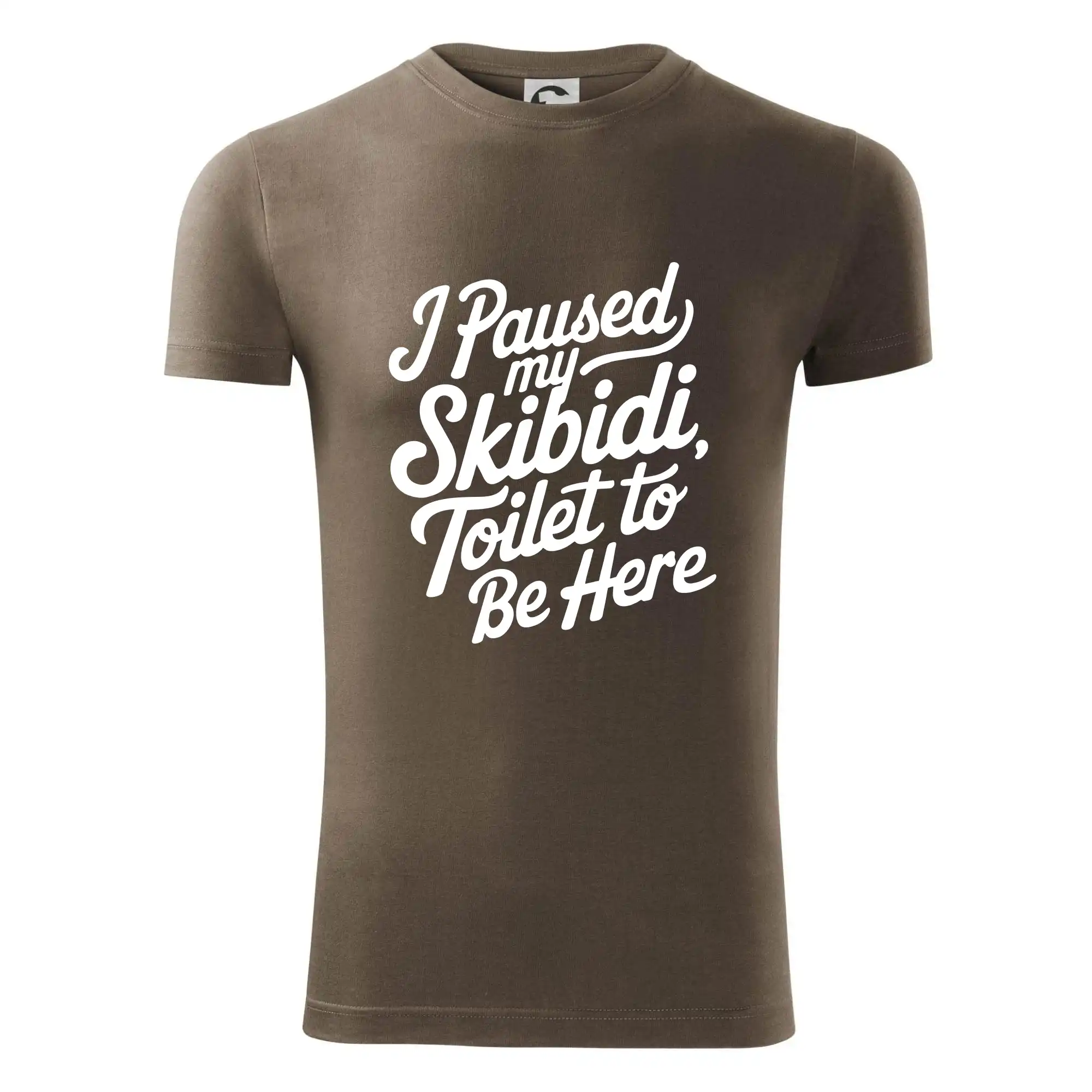 I Paused My Skibidi Toilet to be Here