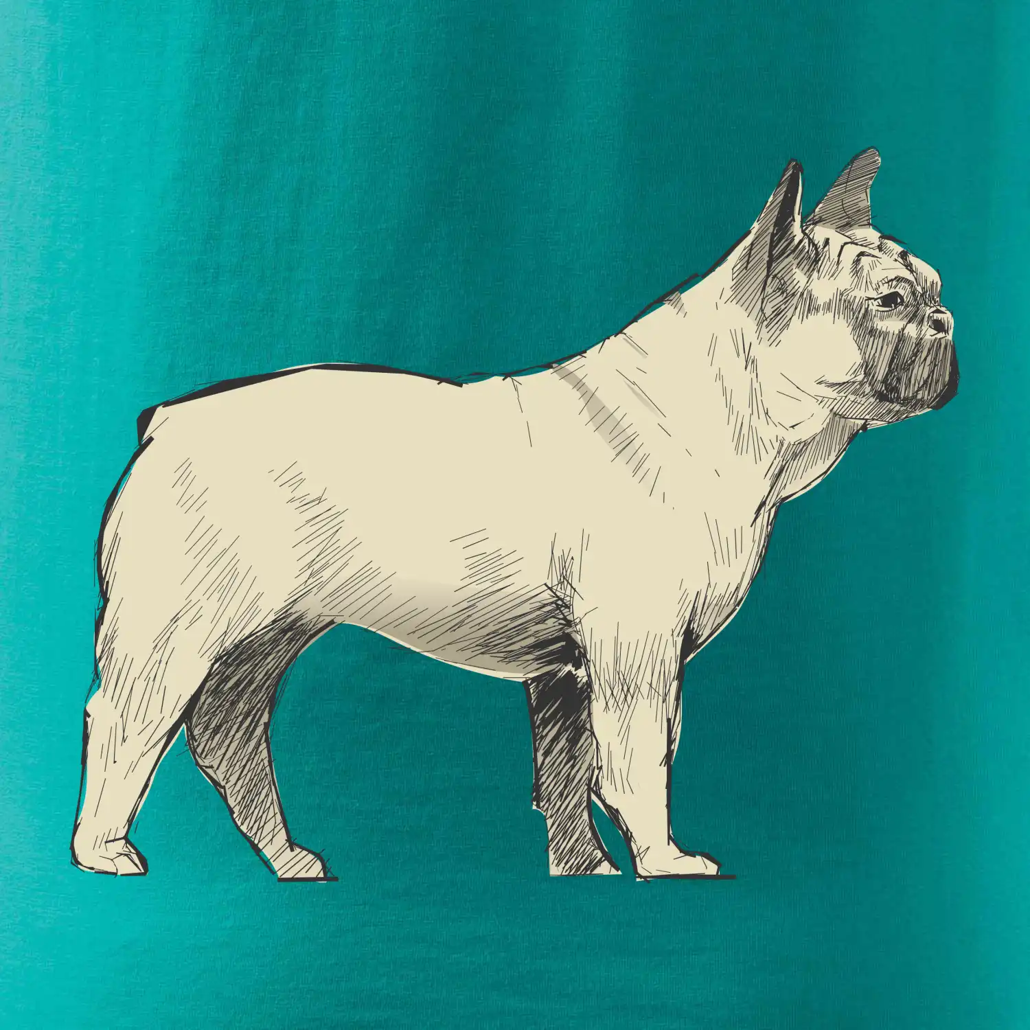 Vintage French bulldog