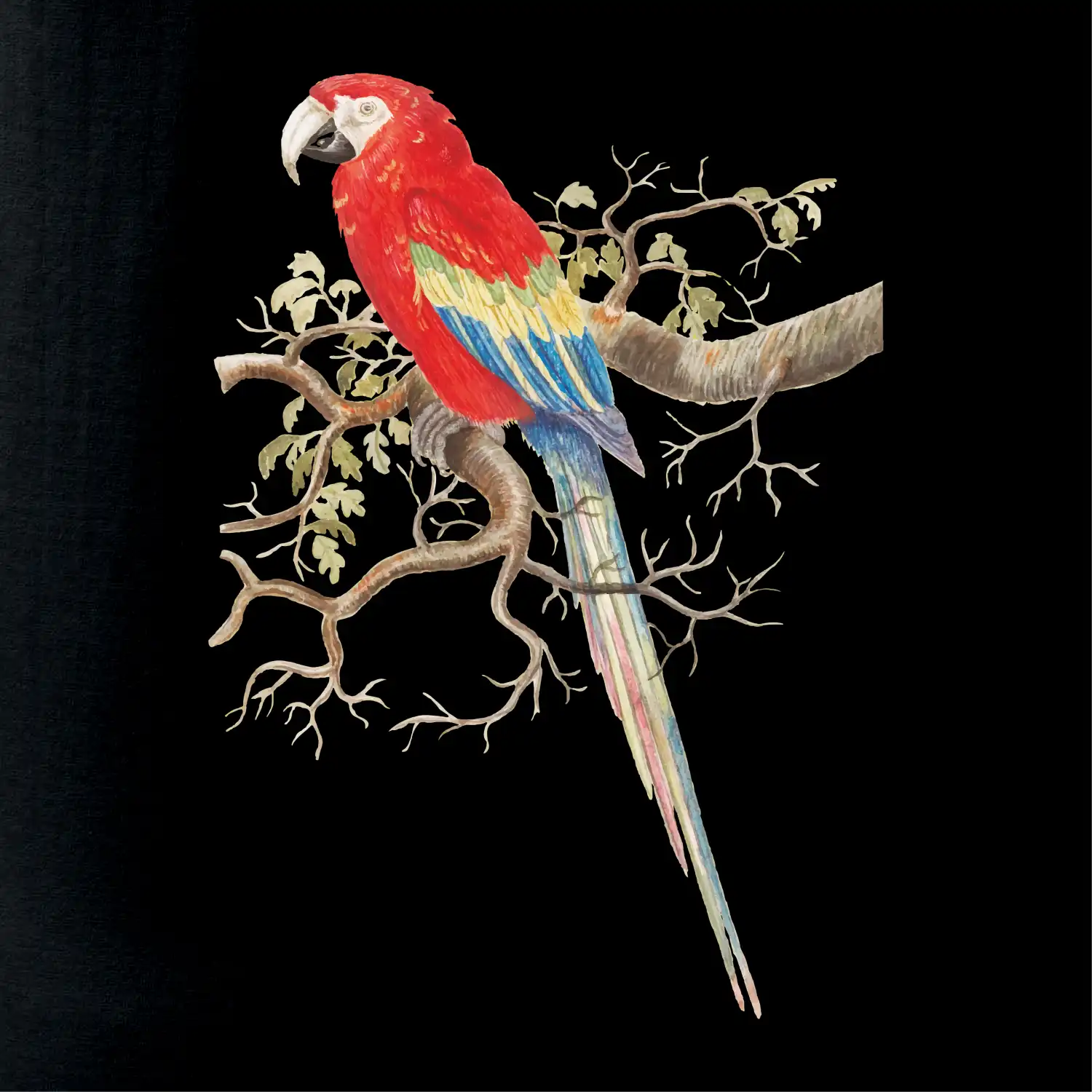 Papoušek na listnatém stromě