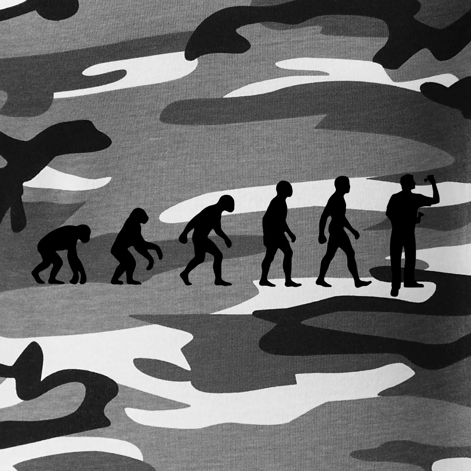 Evoluce šipky