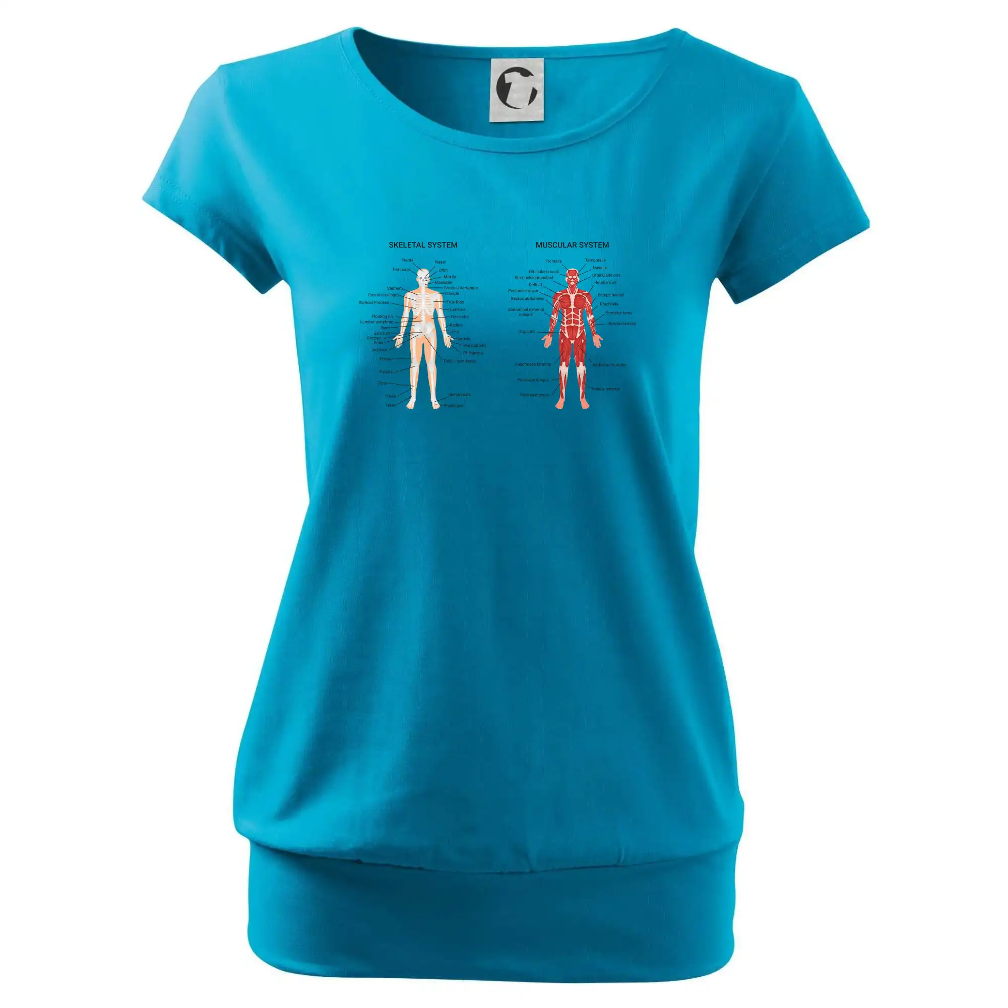 Skelet and Moscular system