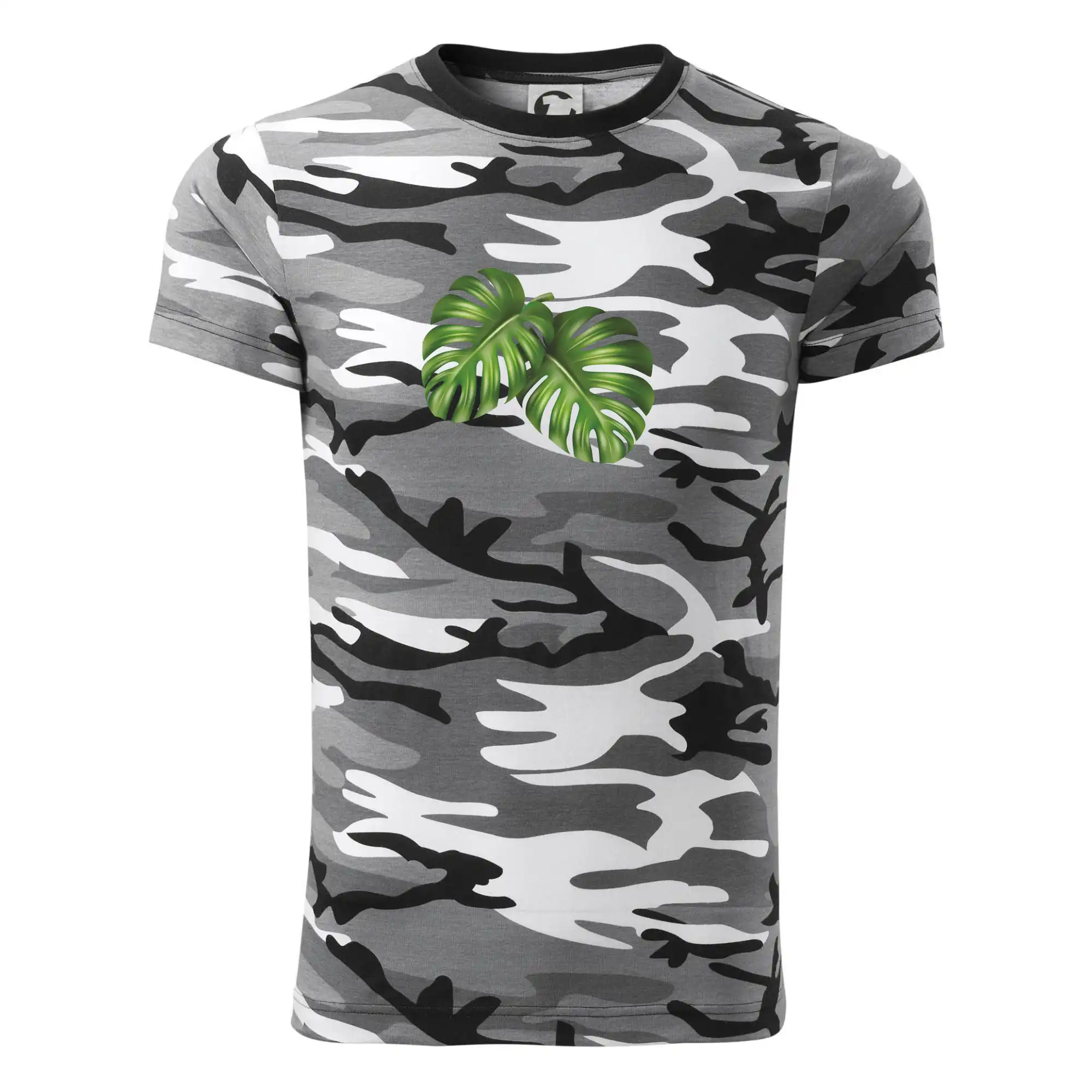 Monstera - dva listy