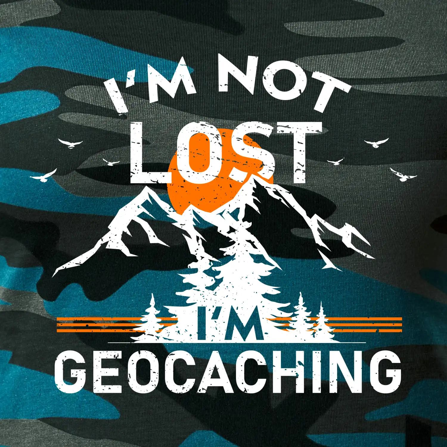 Im not lost - geocaching
