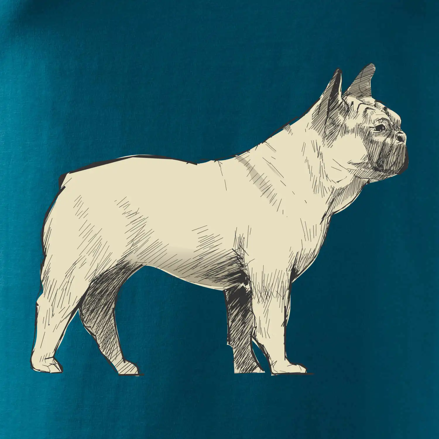 Vintage French bulldog