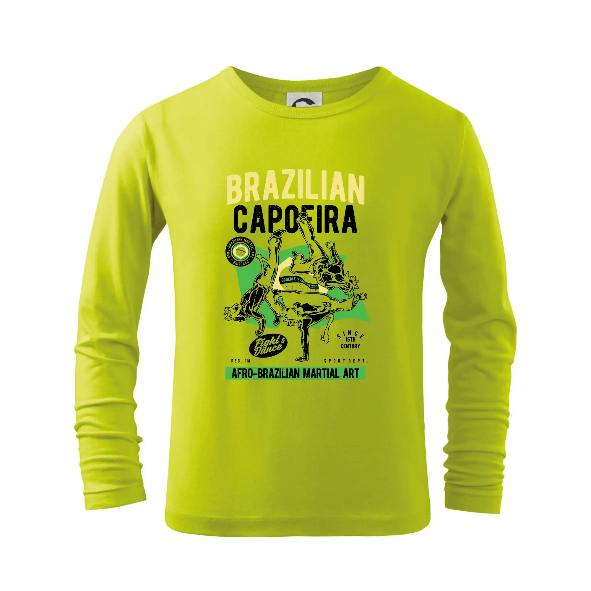Brazilian Capoeira