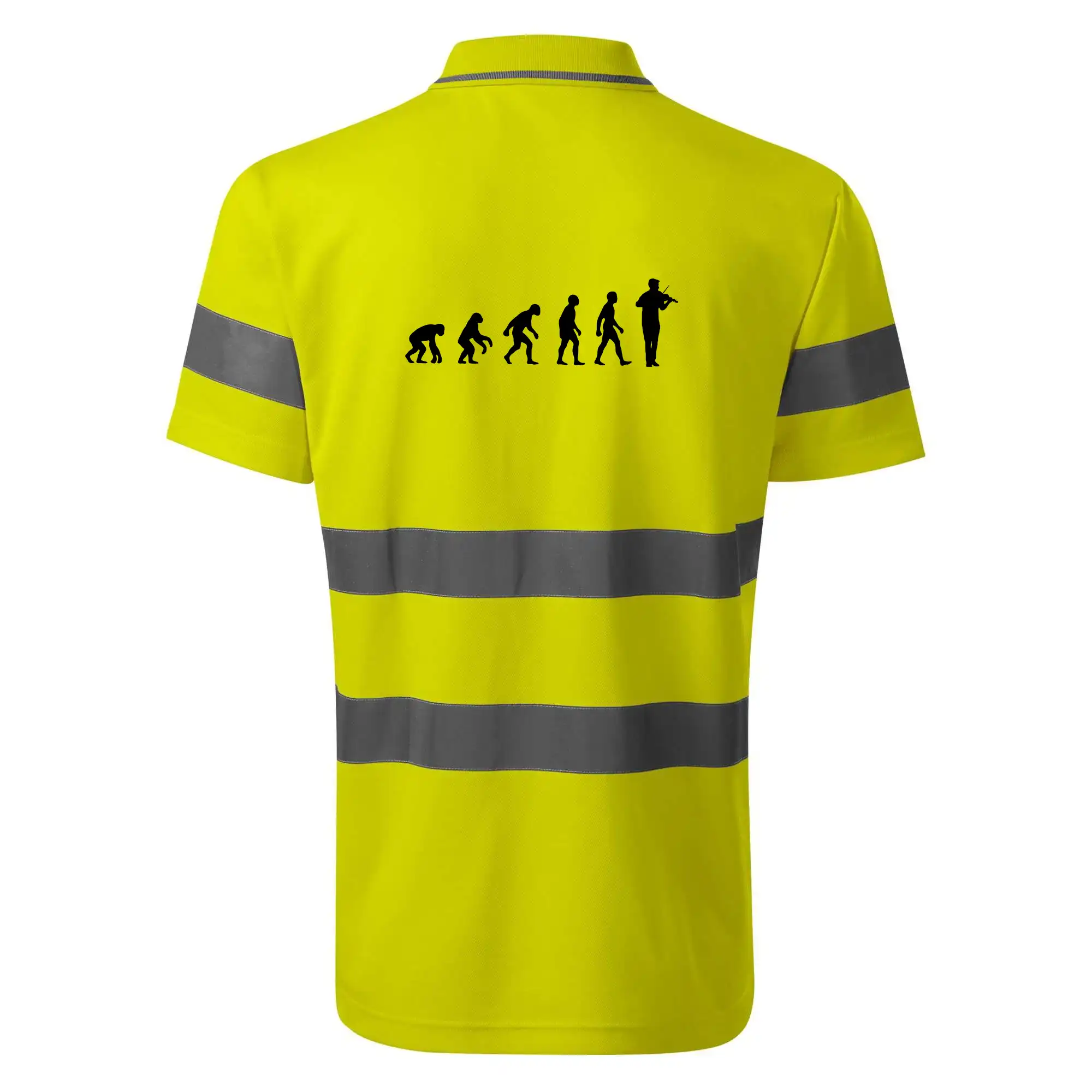 Evoluce houslista